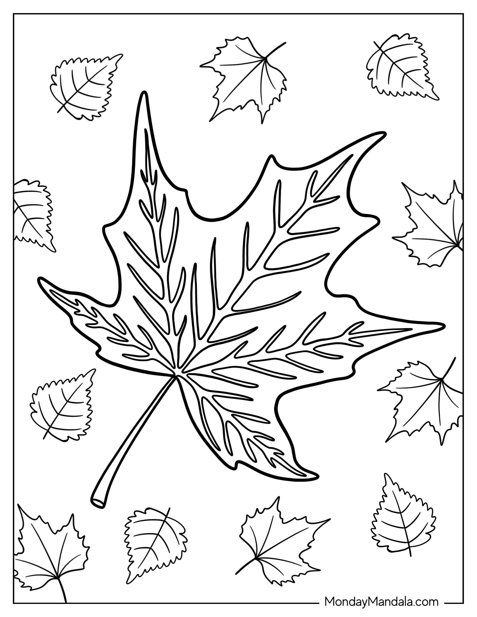 Fall Coloring Page Of Realistic Maple Leaf In Fall