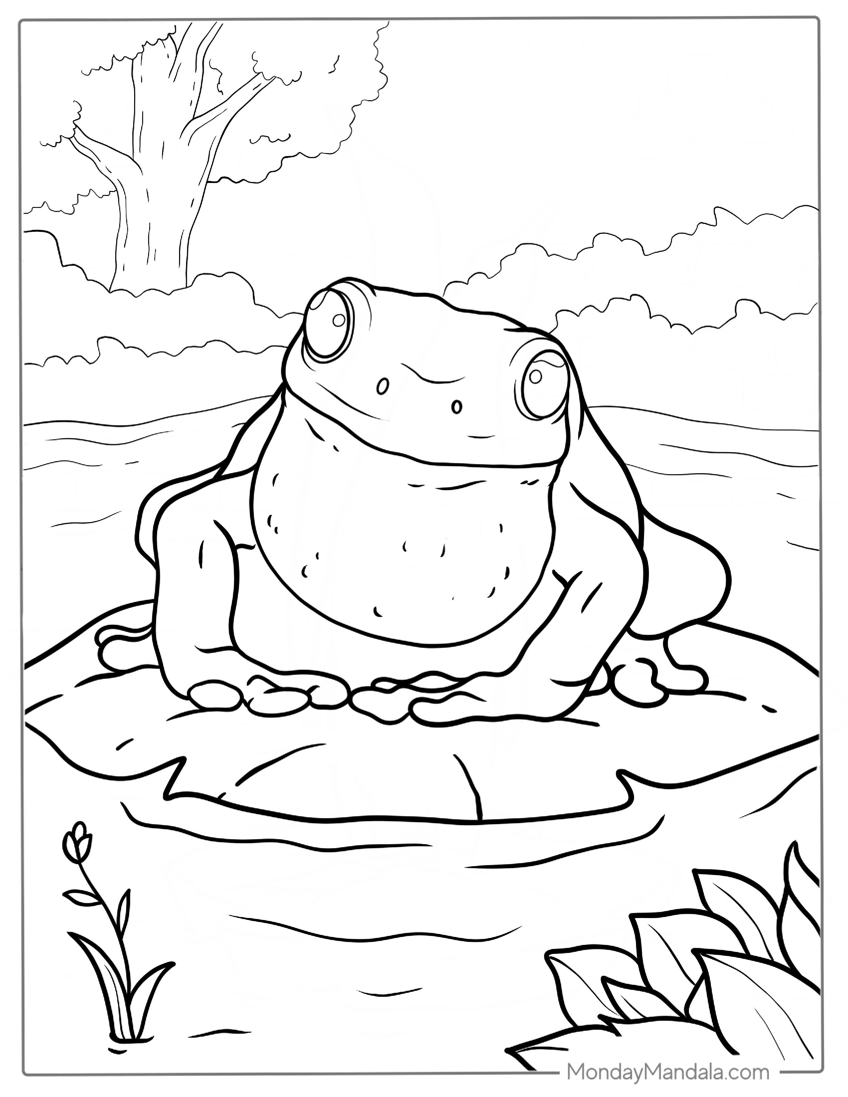 Frog With Vocal Sac Coloring Sheet For Kids