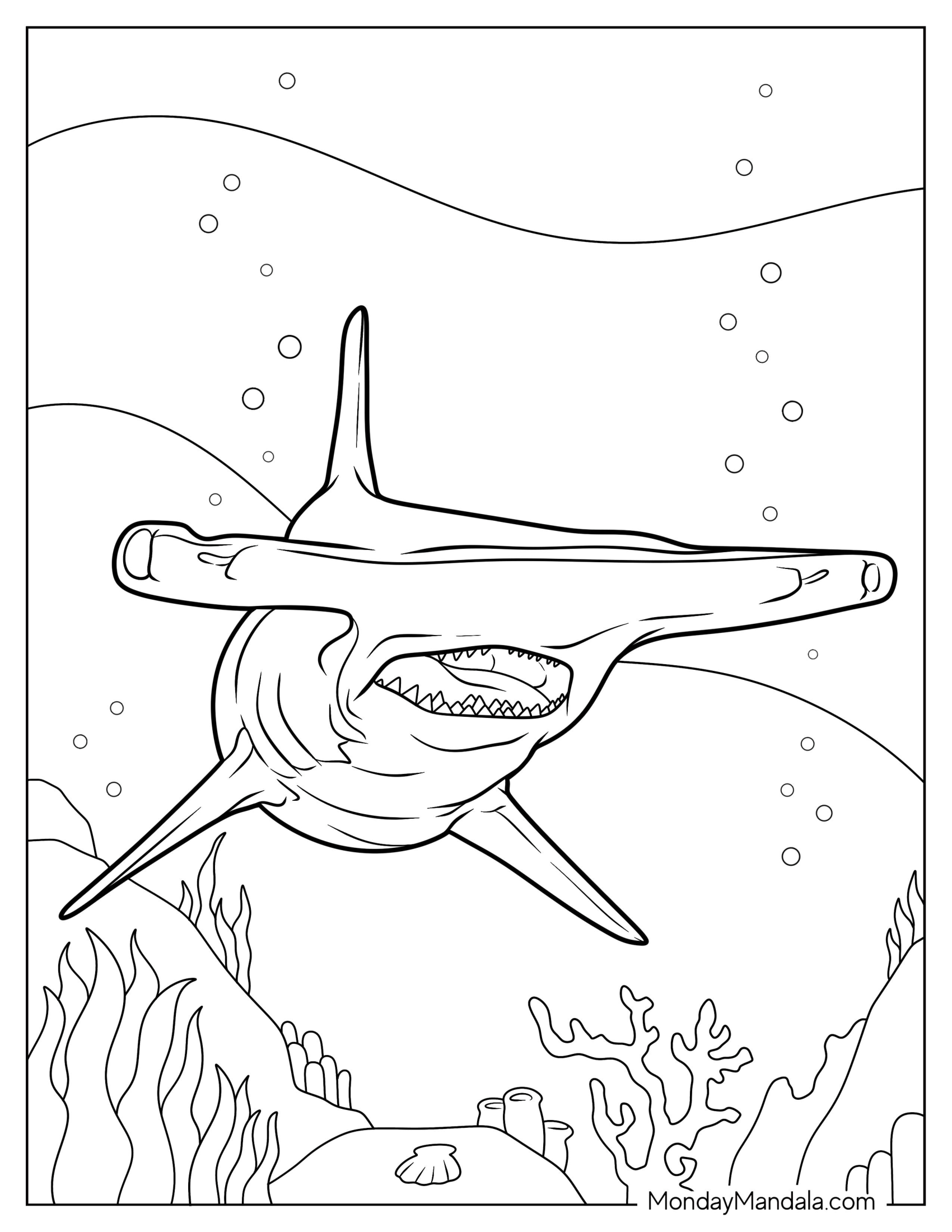 Front View Of Realistic Hammerhead Shark Coloring Page