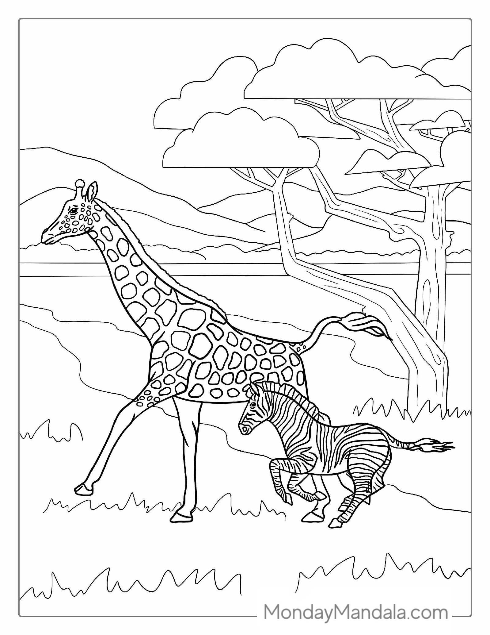 Giraffe And Zebra Coloring Page