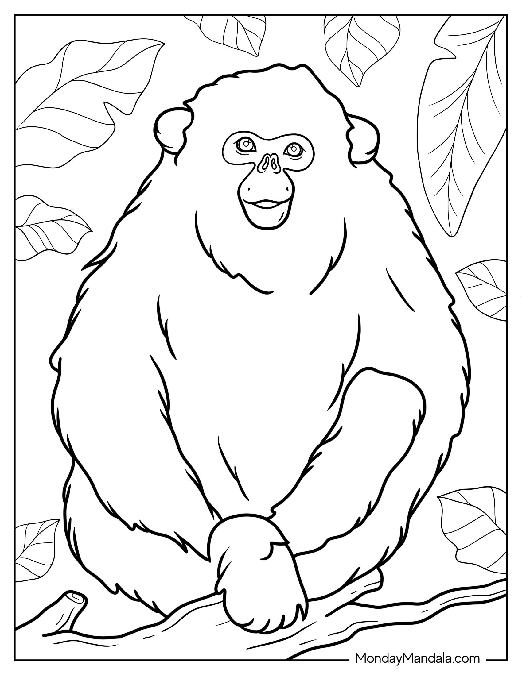 Golden Snub-Nosed Monkey Coloring Page