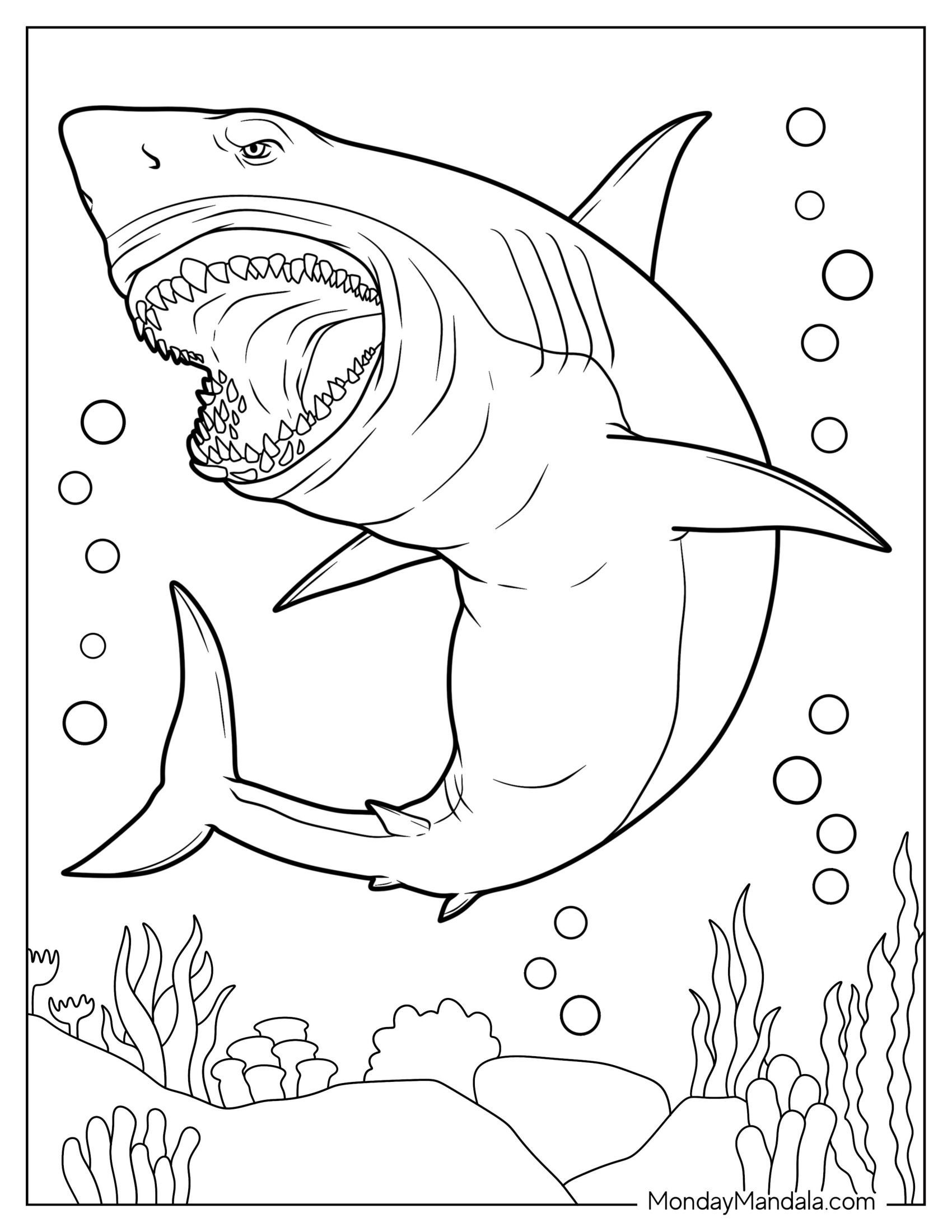 Great White Shark Coloring Page With Mouth Open