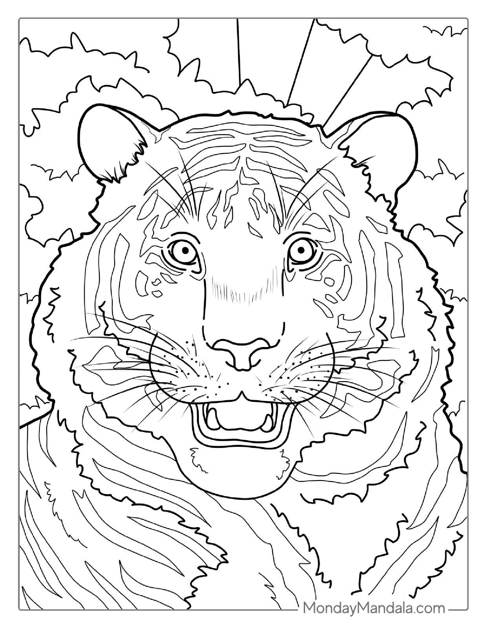 Happy Tiger With Big Nose Coloring Page