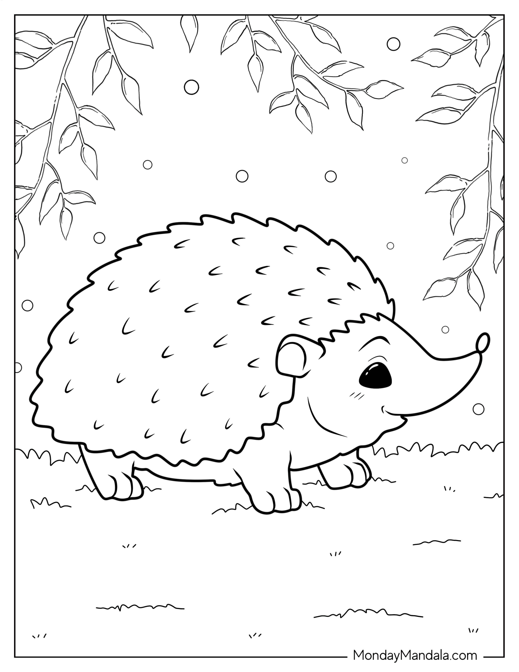 Hedgehog Coloring Page In The Forest