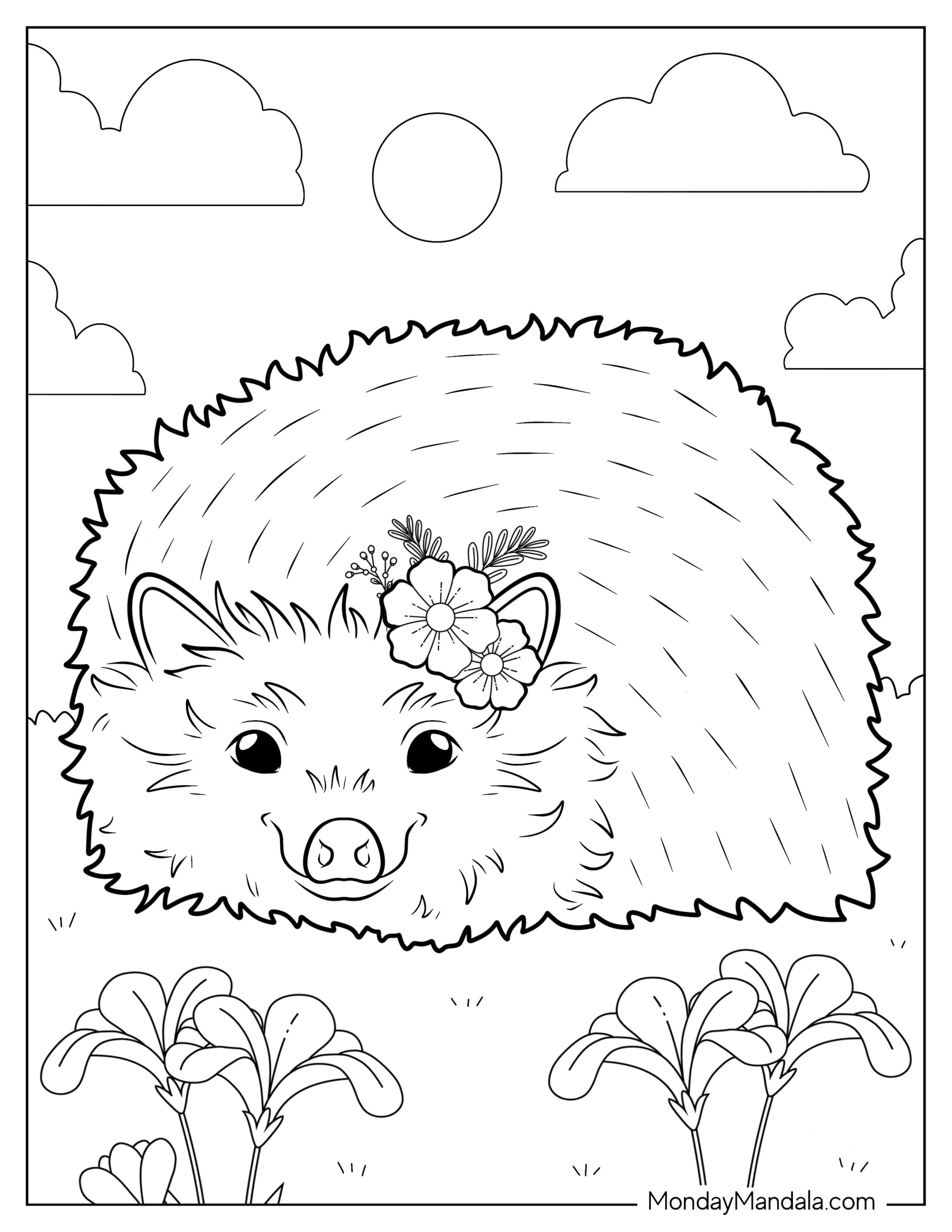 Hedgehog Coloring Page With Flowers On Head