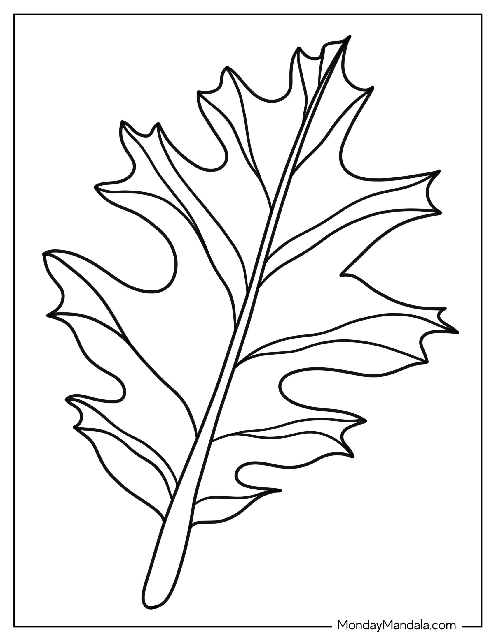 Holly Leaf To Color