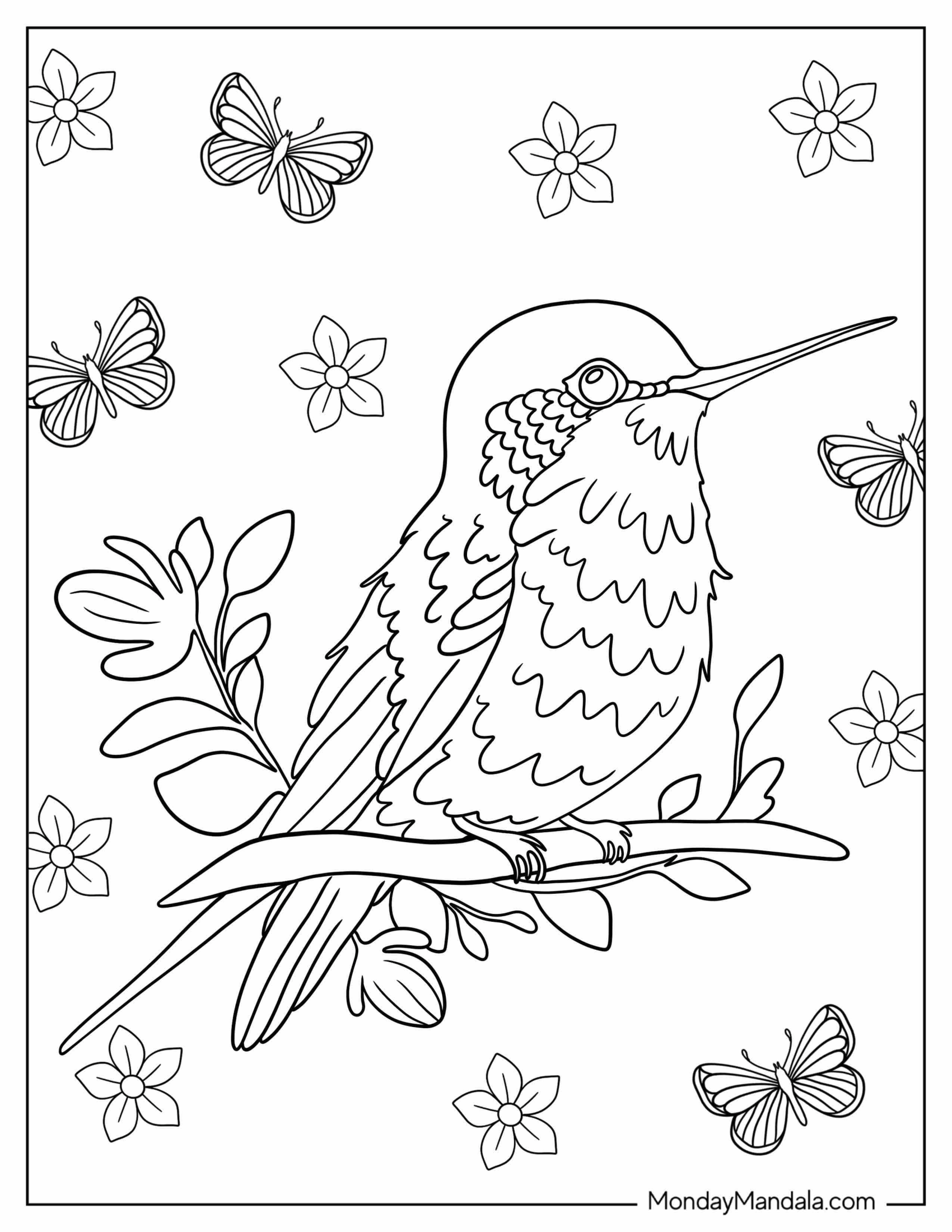 Hummingbird Perched On Branch Coloring Sheet