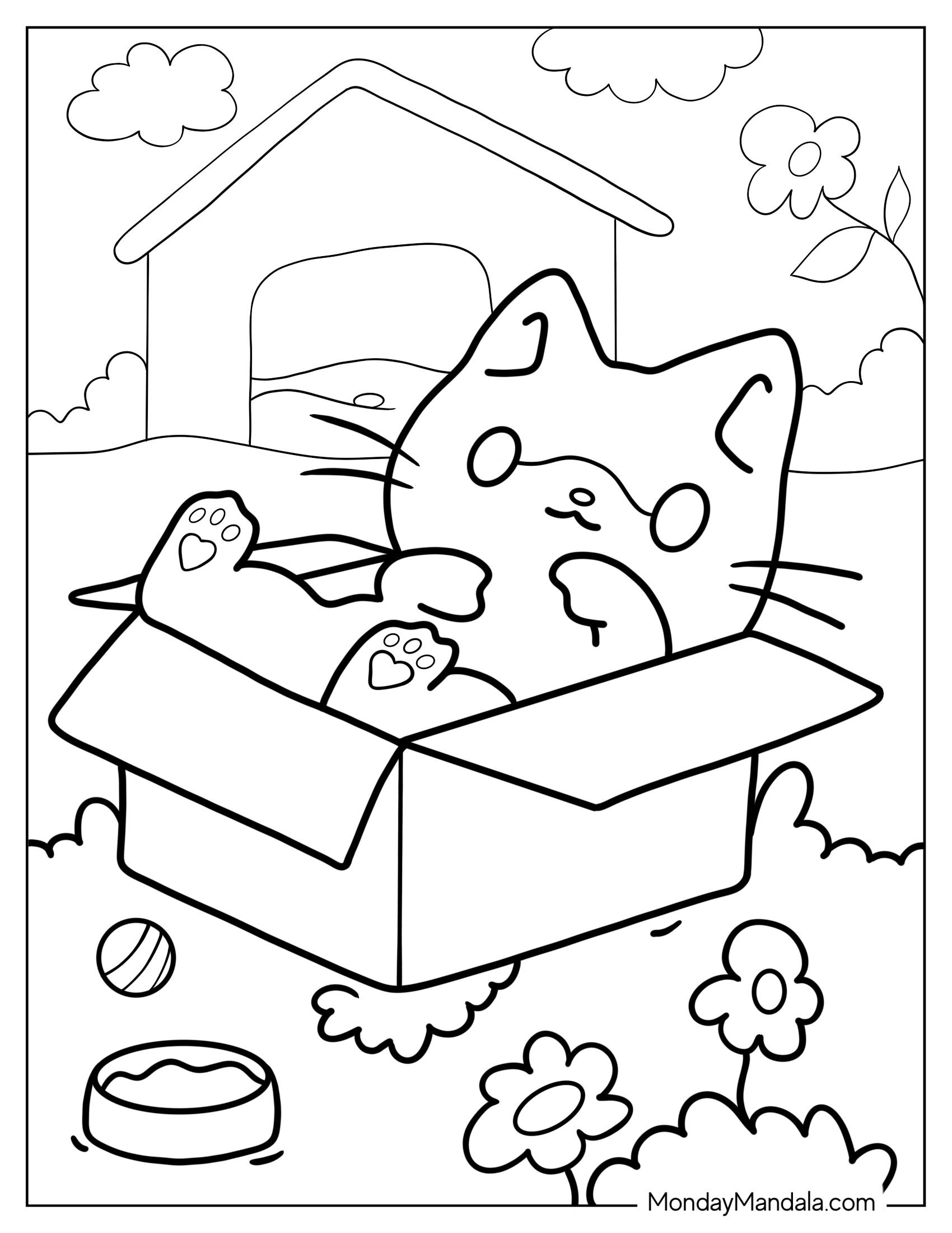 Kitten Stuck In Box Coloring Page For Preschoolers