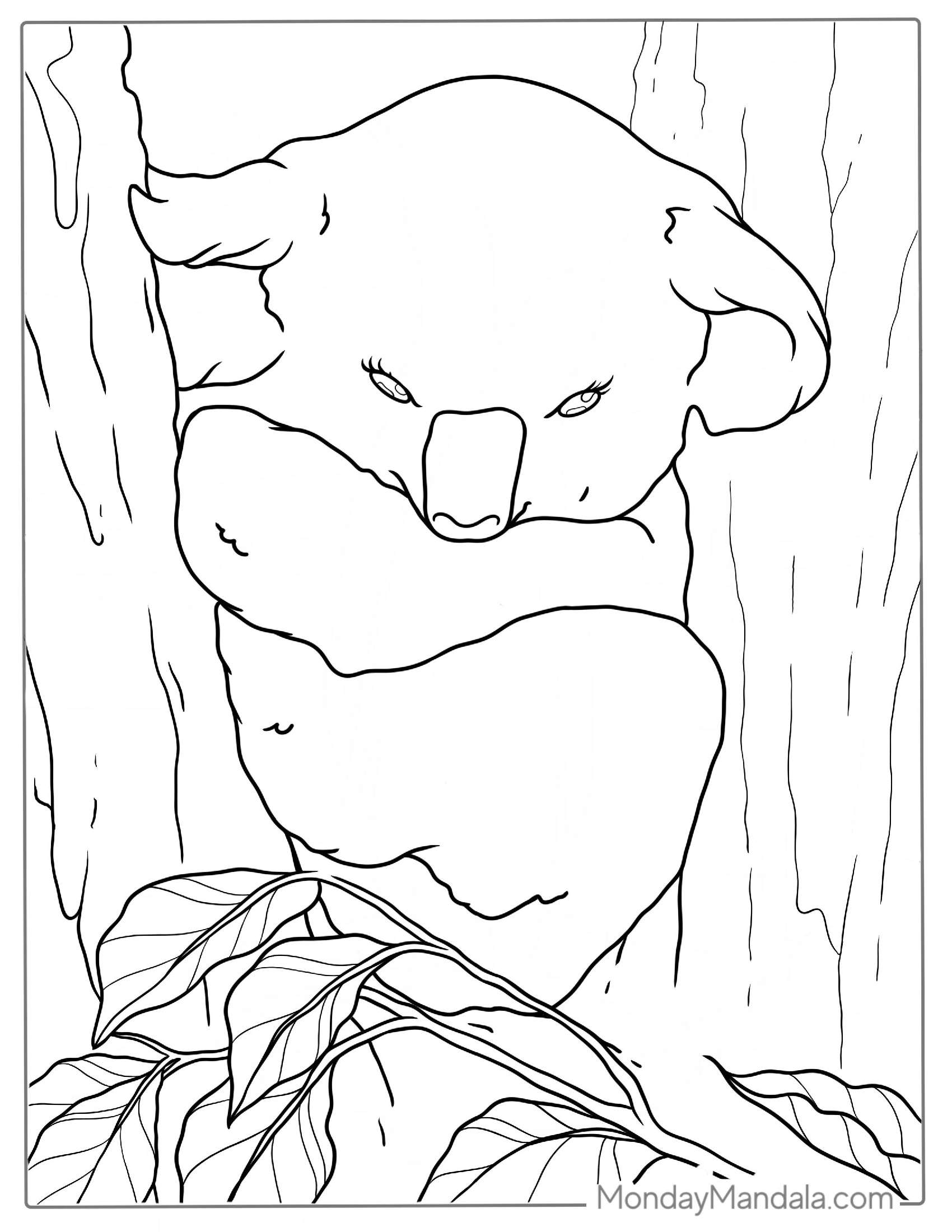 Koala Resting In Gum Tree Coloring Page