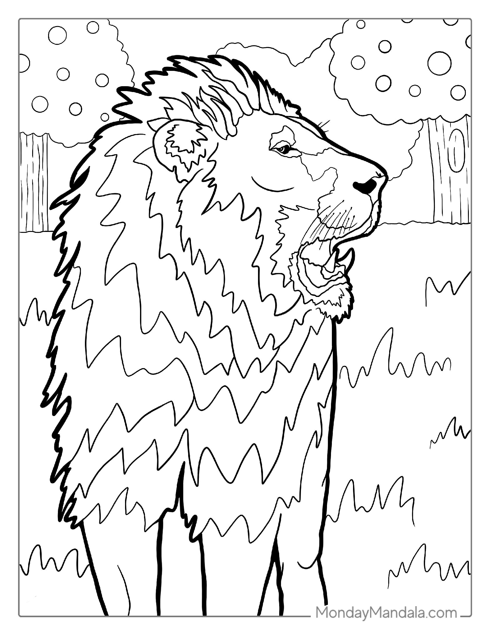 Lion Roaring Coloring Page