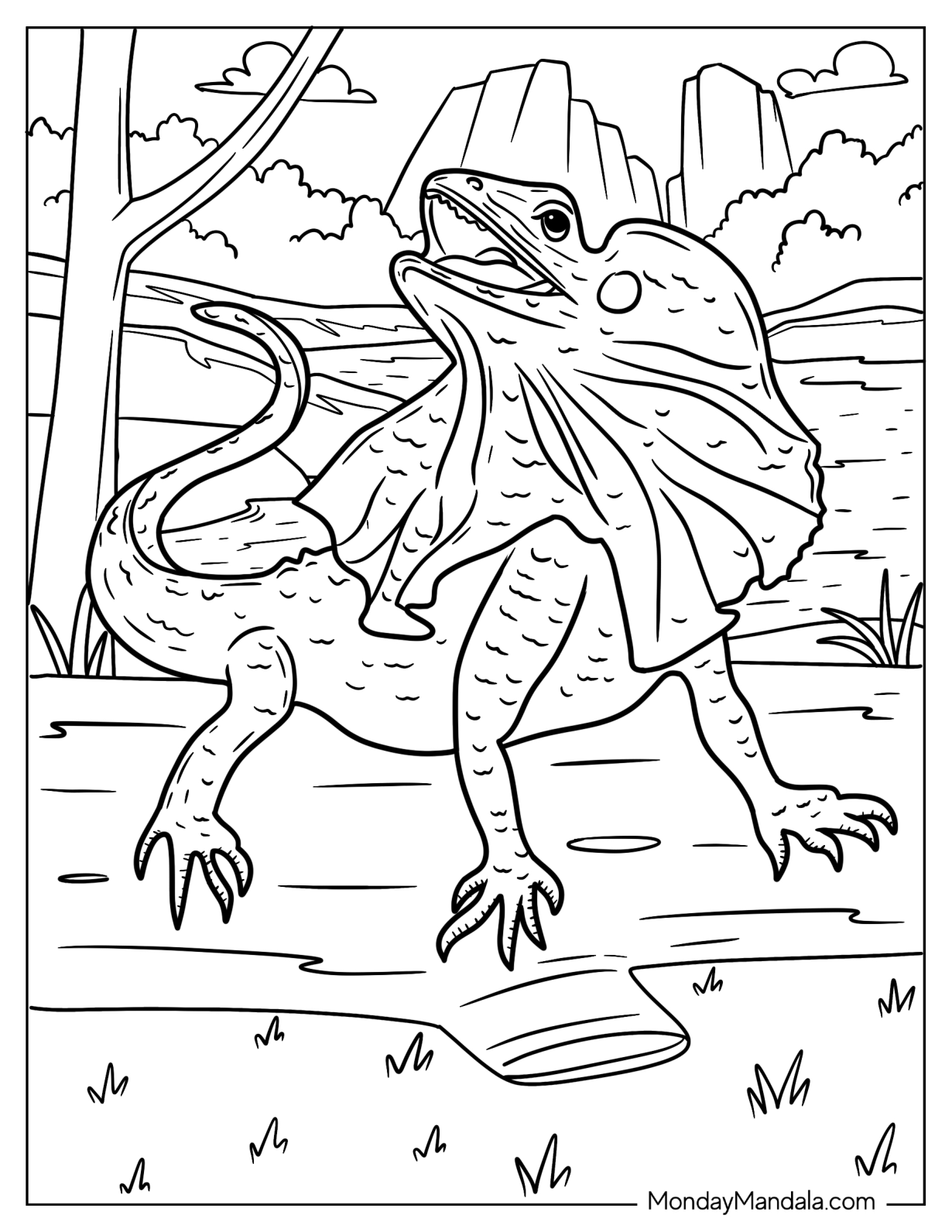 Lizard Coloring Page Looking Up From Ground