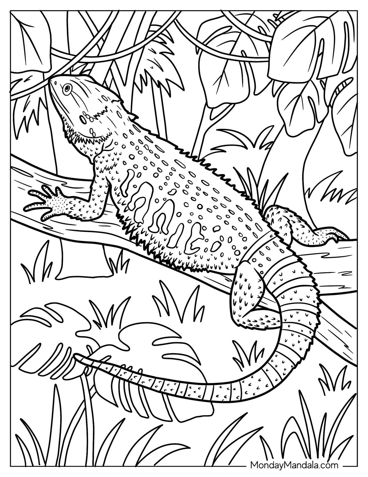 Lizard Coloring Page of Bearded Dragon Lizard In Jungle