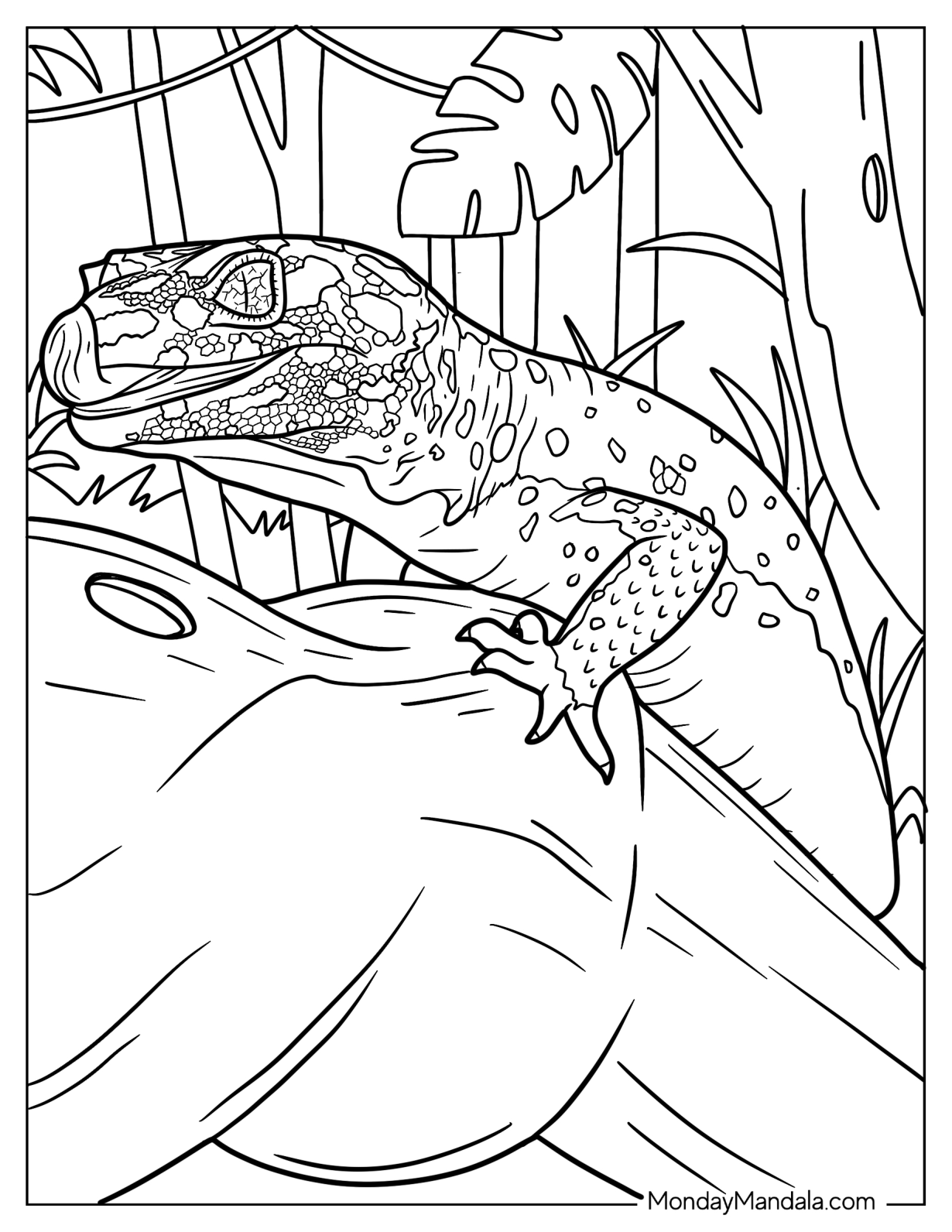 Lizard Coloring Page of Close Up Of Leopard Gecko