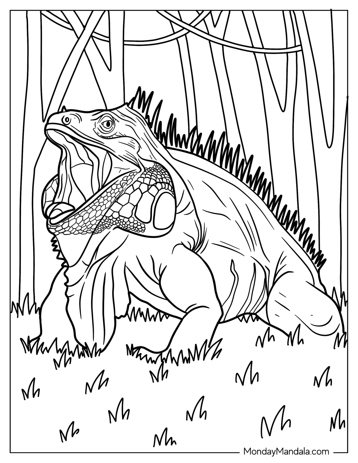 Lizard Coloring Page of Green Iguana With Mouth Open