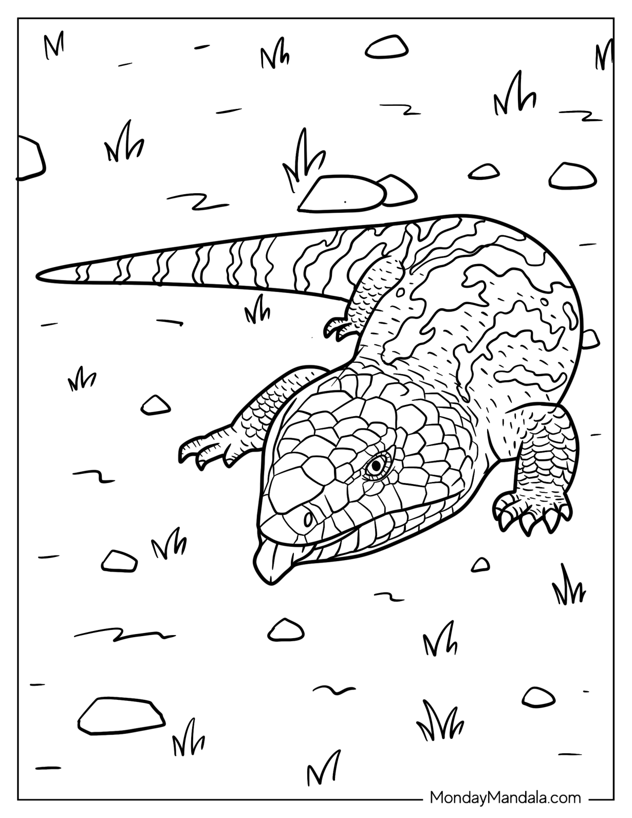 Lizard Coloring Page of Scaly Blue Tongued Skink On Ground