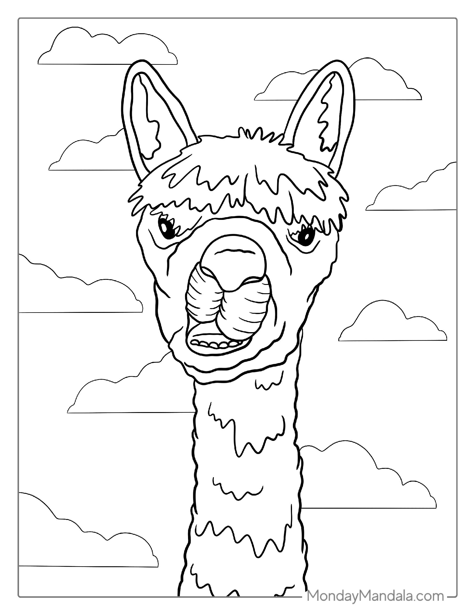 Llama Making Funny Face