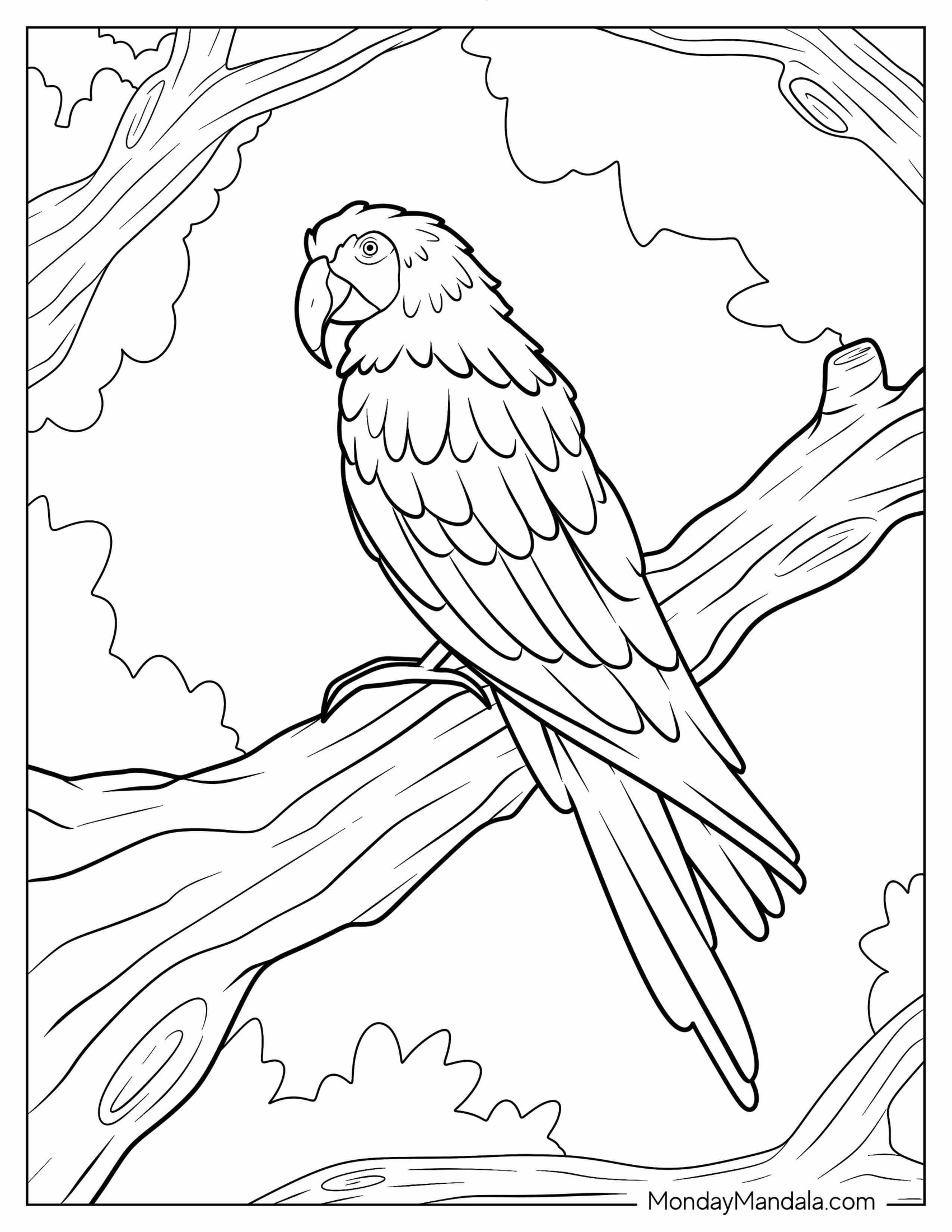 Macaw Parrot Coloring Sheet