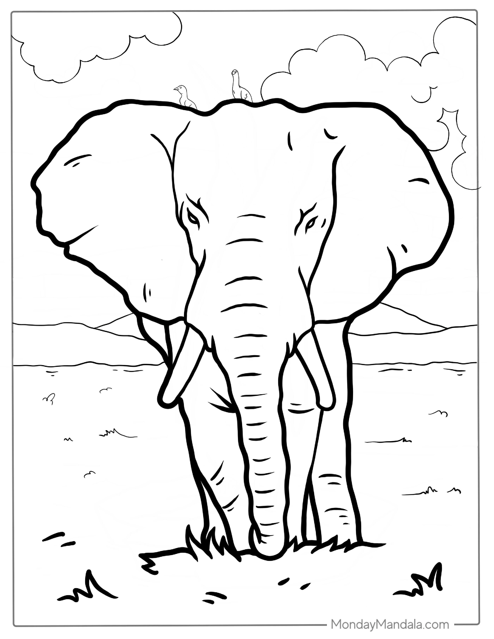 Majestic Elephant With Birds On Head Coloring Page