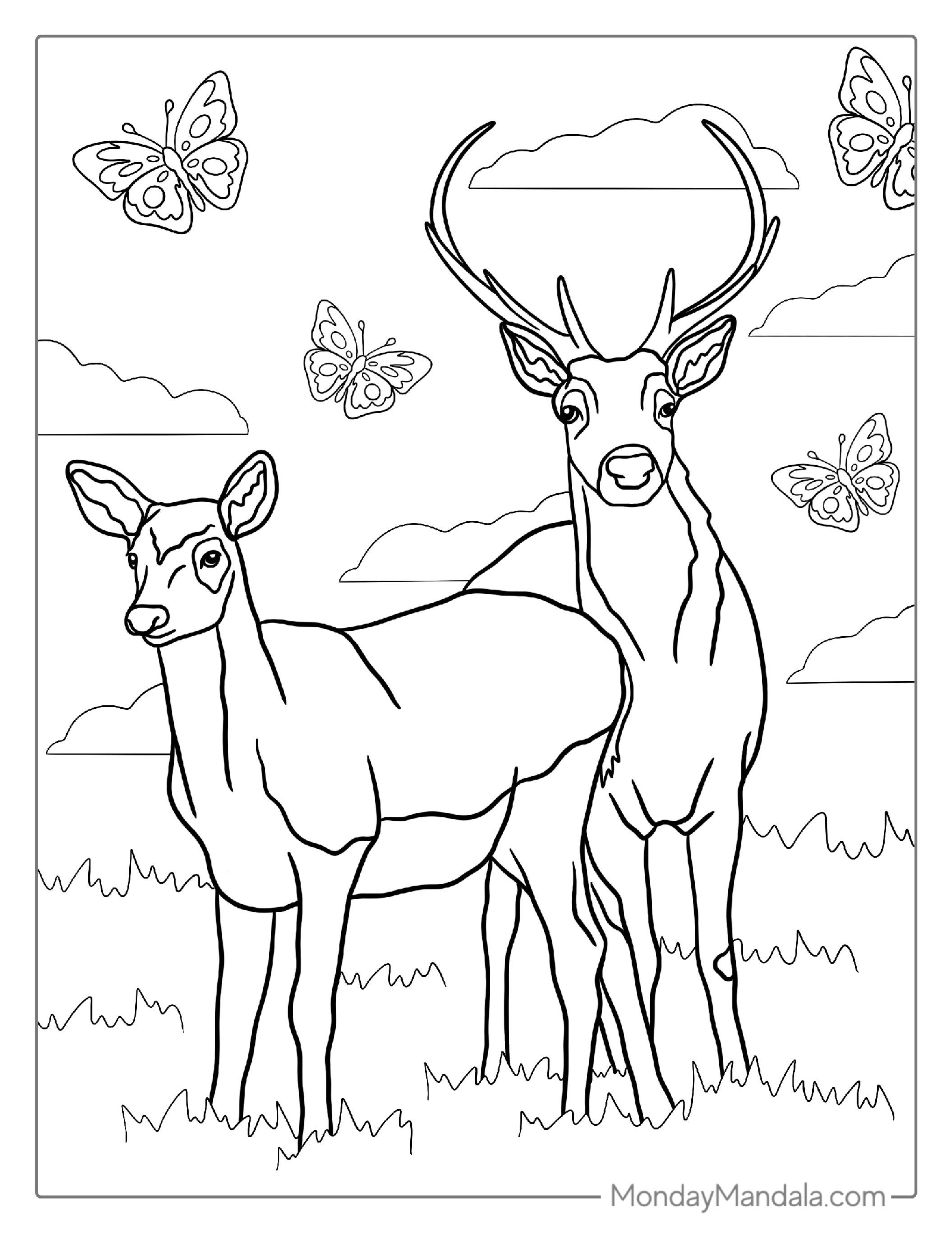 Male And Female Deer Coloring Page