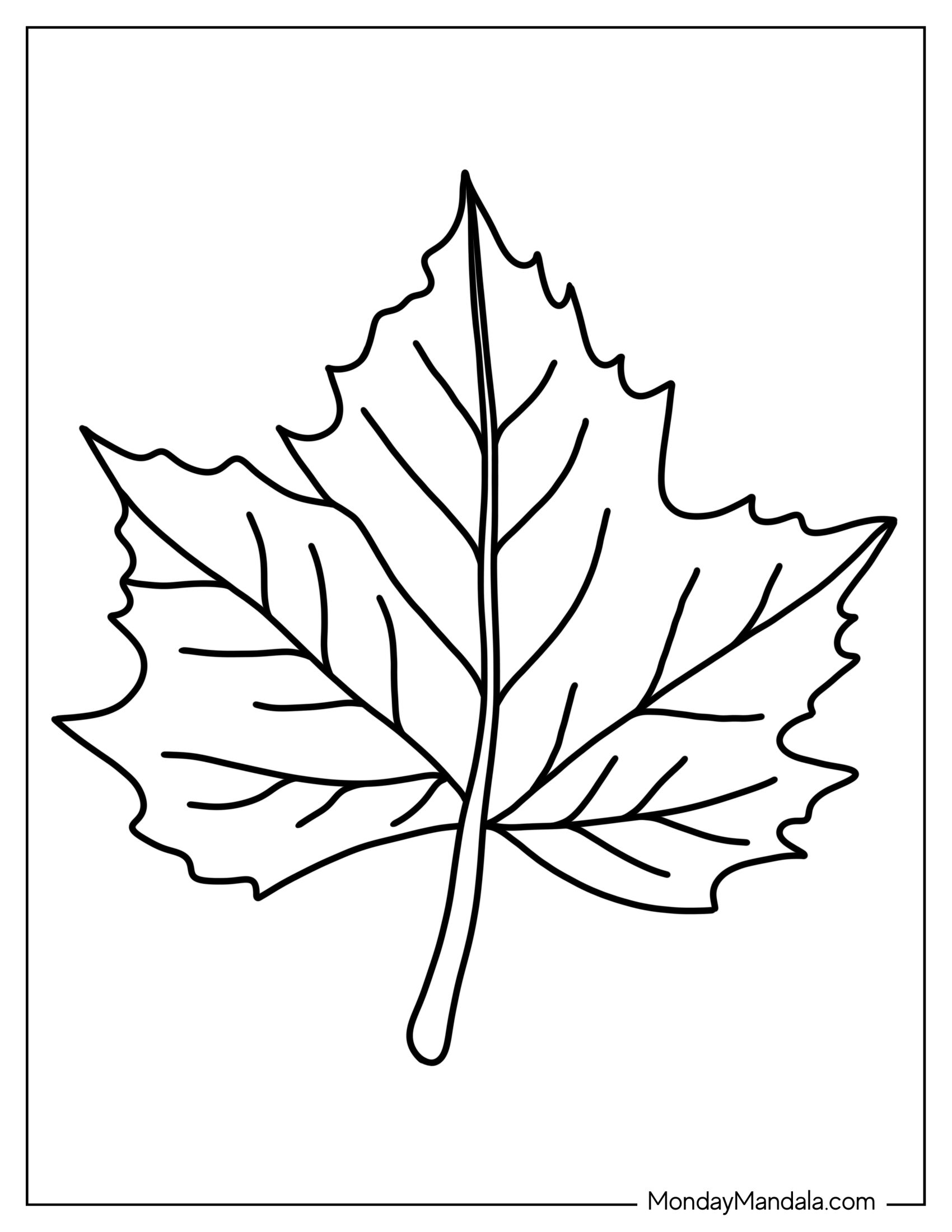 Maple Tree Leaf Coloring Page