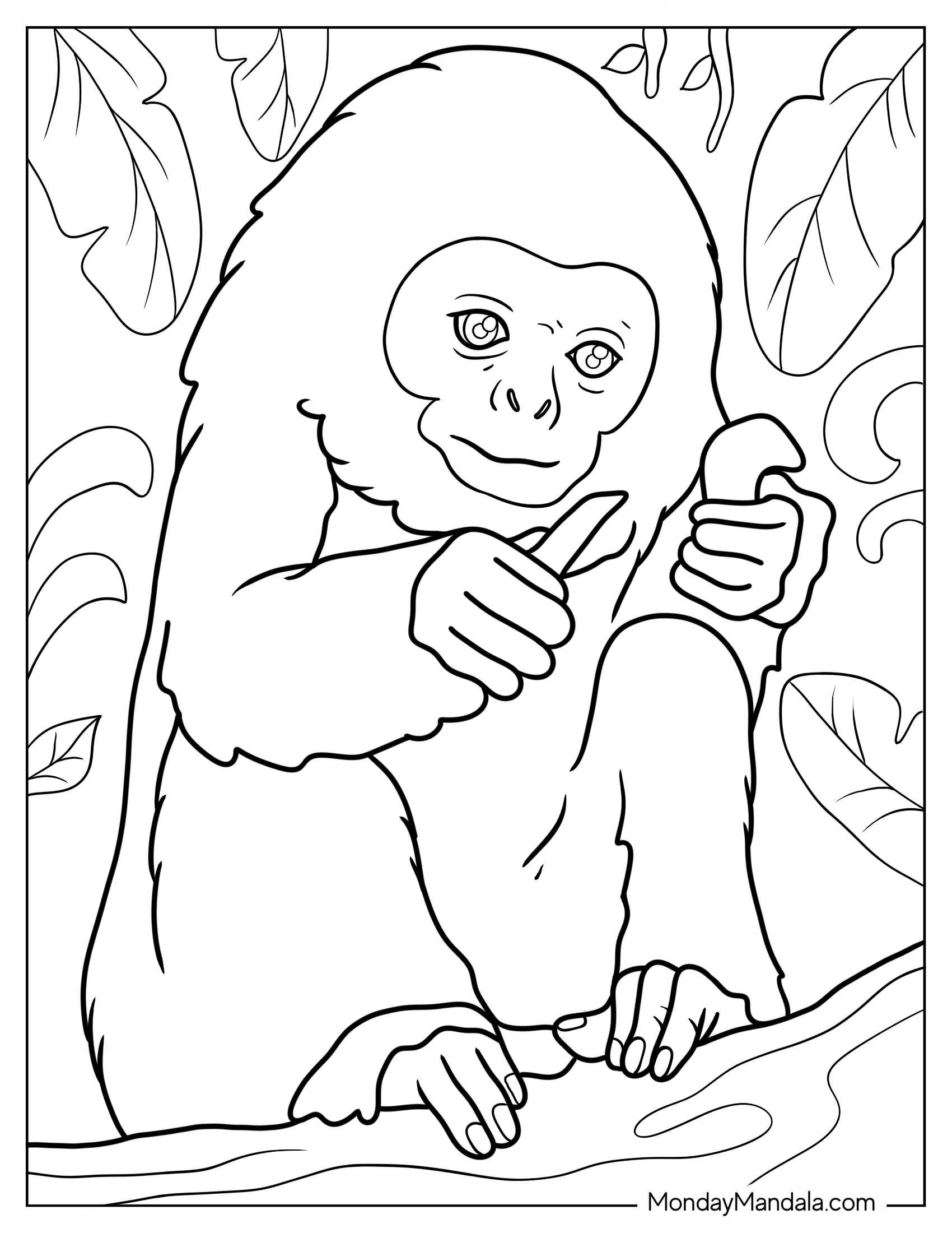 Monkey Coloring Page Of Baby Langur Outline