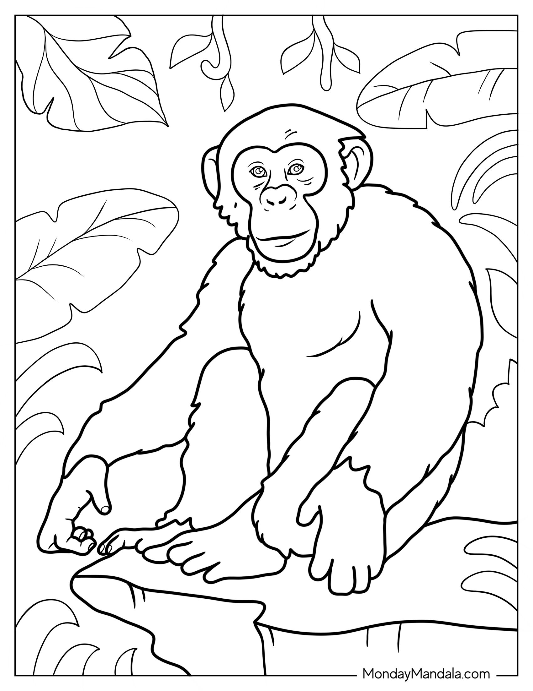 Monkey Coloring Page Of Smiling Chimpanzee On A Rock