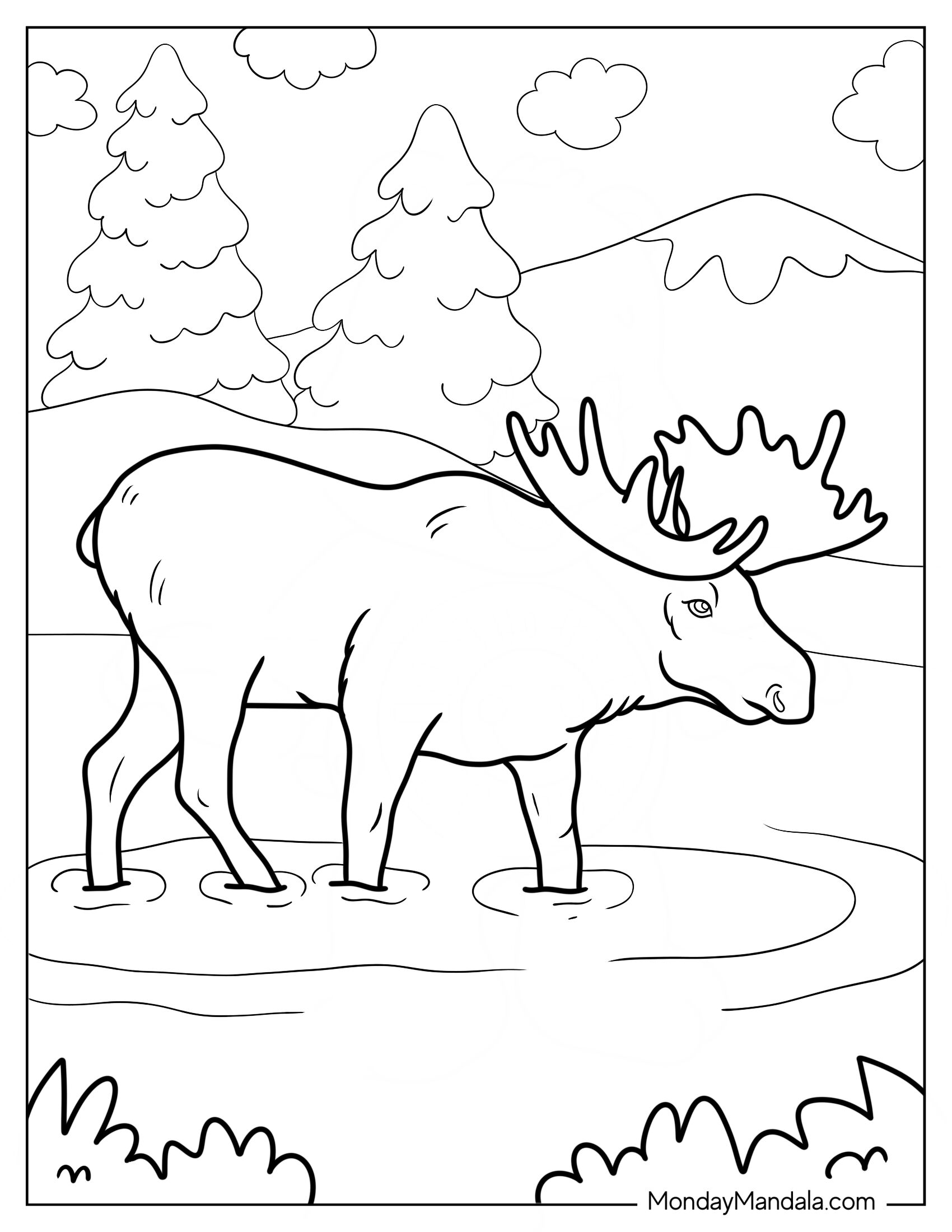 Moose Coloring Page Walking In Shallow Waters