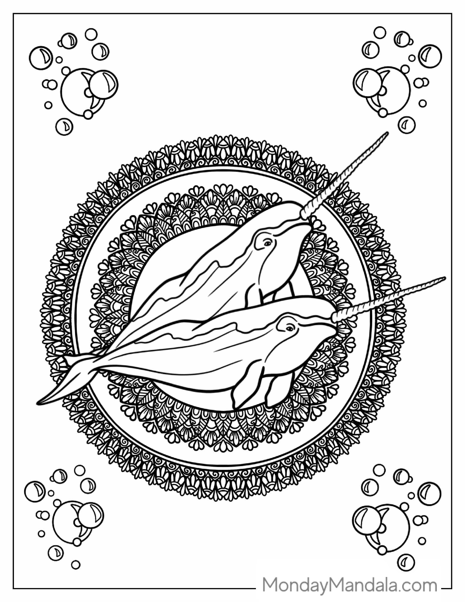 Narwhal Mandala Coloring Page For Adults