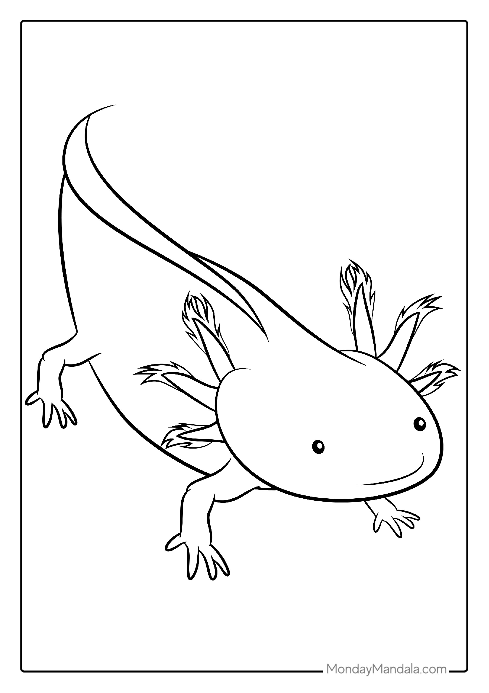 Outline Of Axolotl Coloring Page