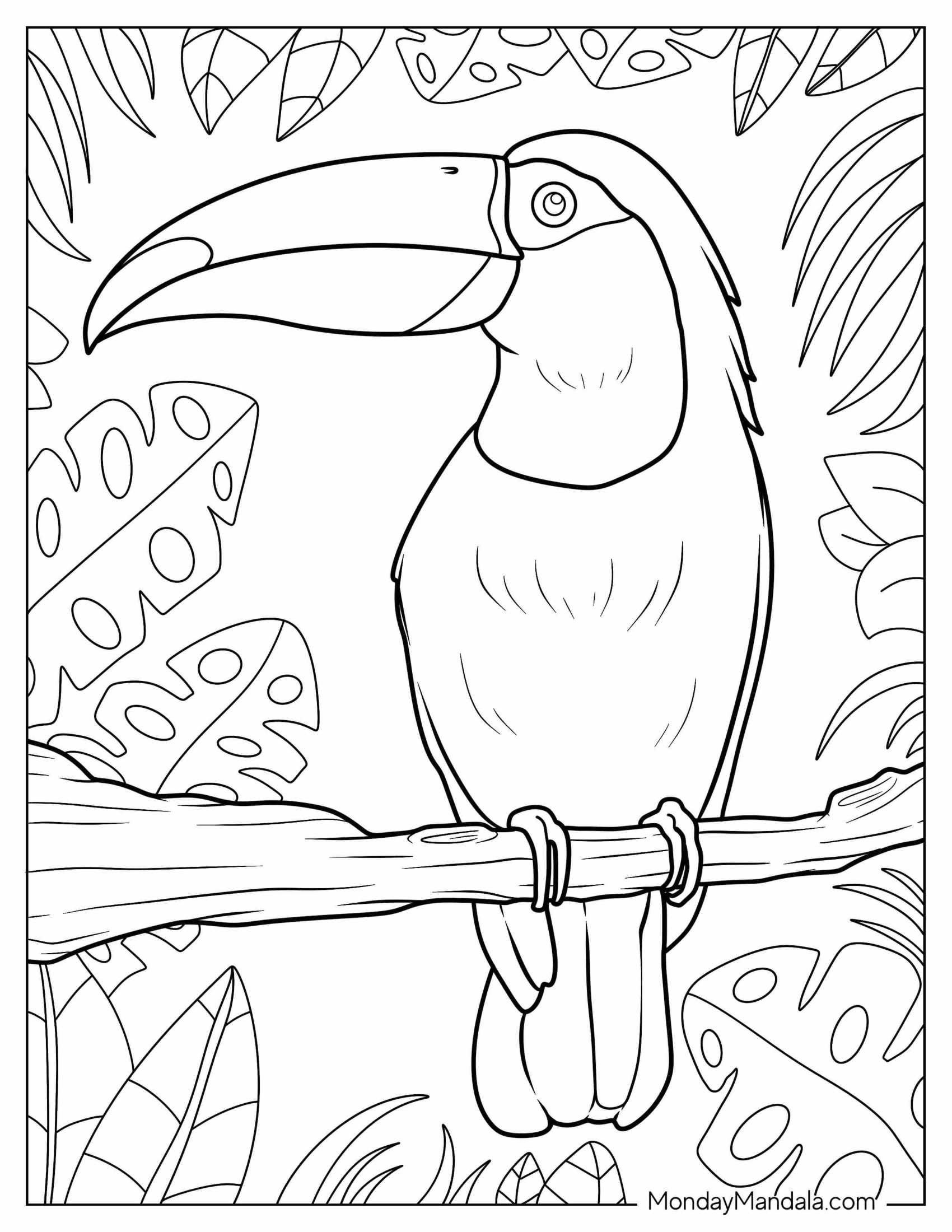 Parrot With Large Beak To Color