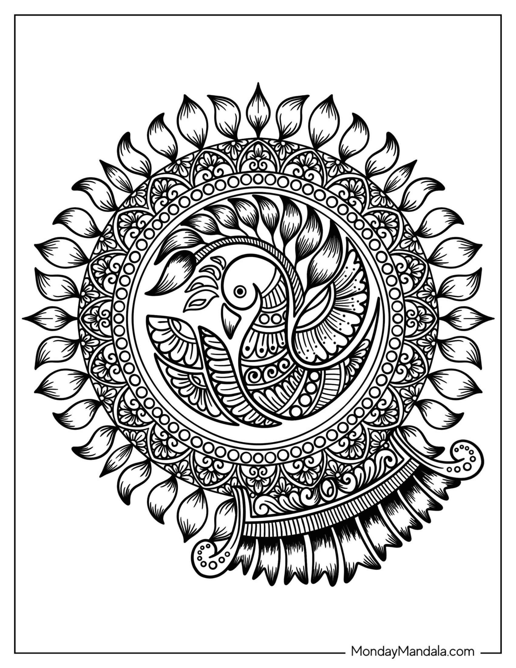 Peacock Mandala Coloring Sheet