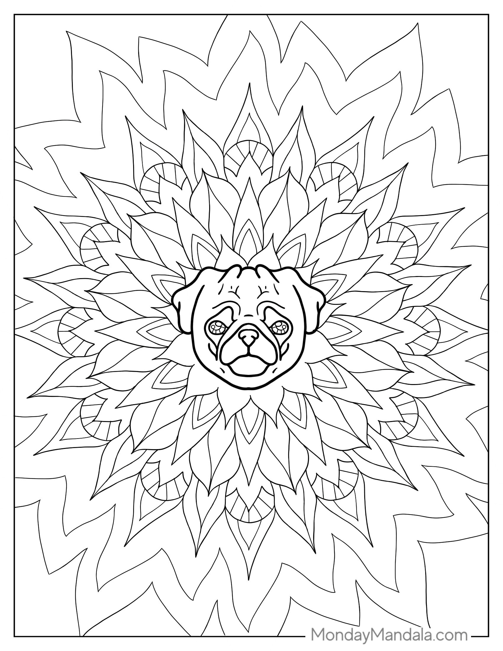 Pug Mandala Coloring Sheet