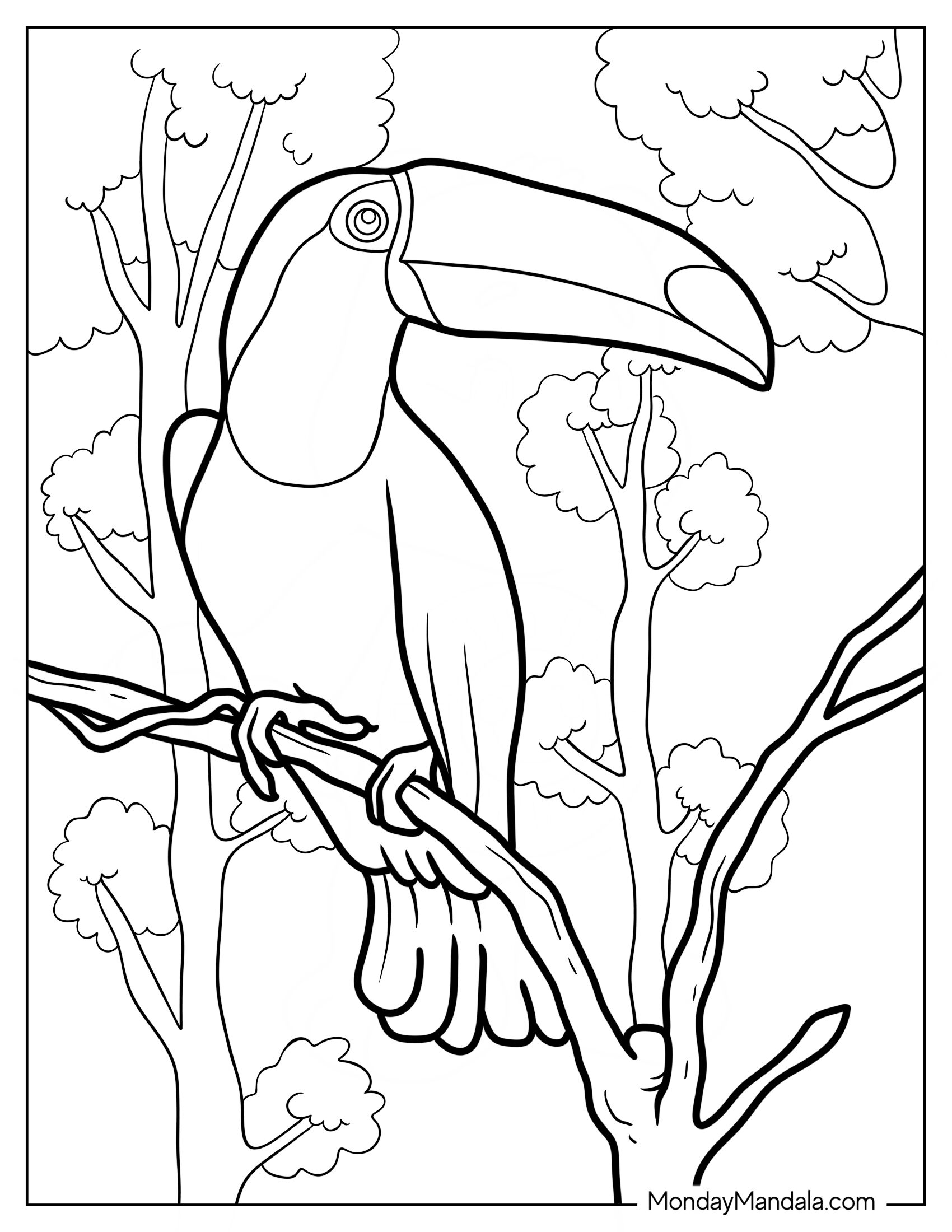 Realistic Adult Toucan Coloring Page In The Jungle