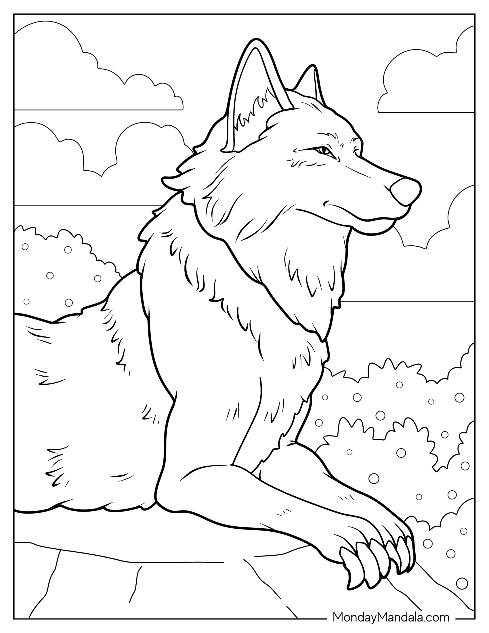 Realistic Adult Wolf Coloring Page Resting