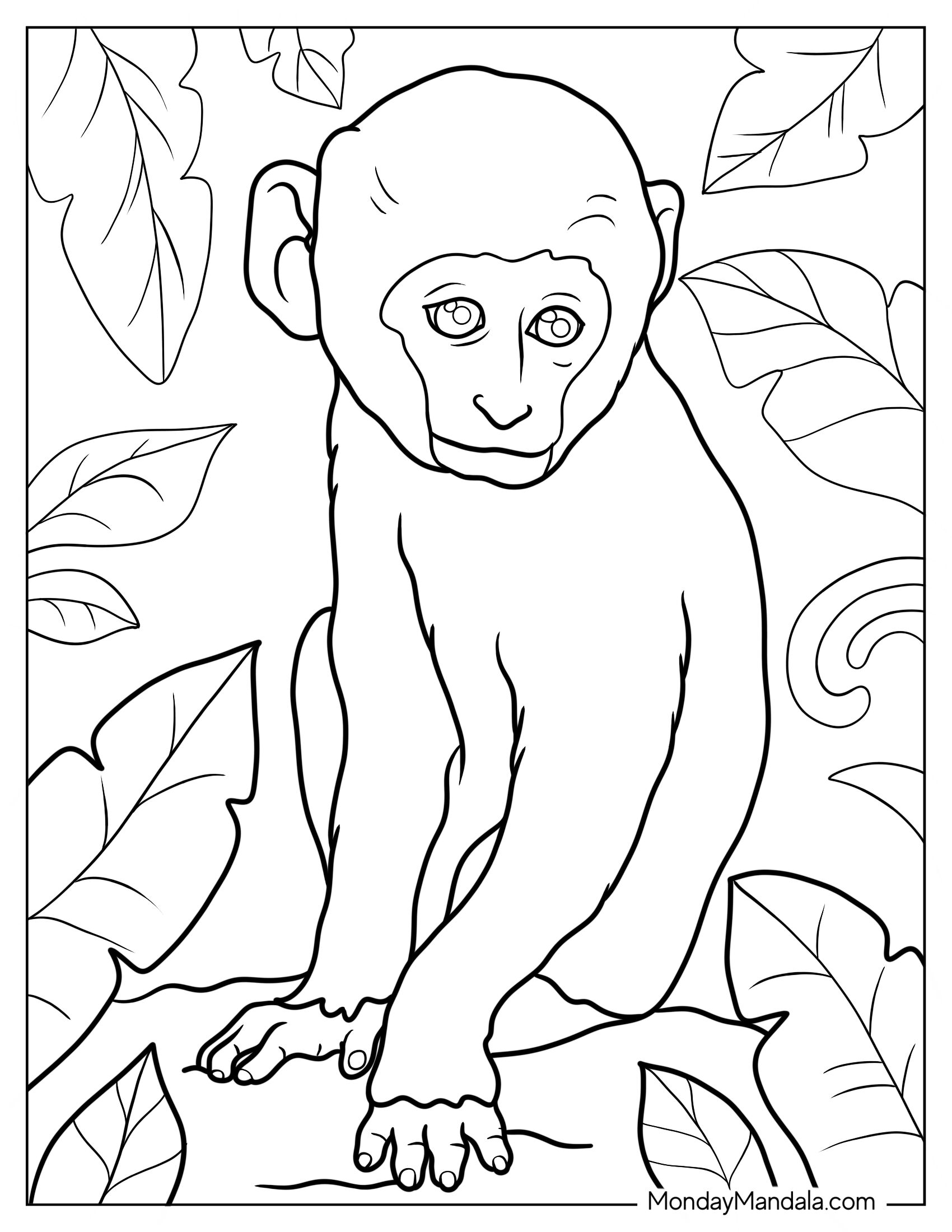 Realistic Baby Monkey Coloring Page Sitting On Ground 