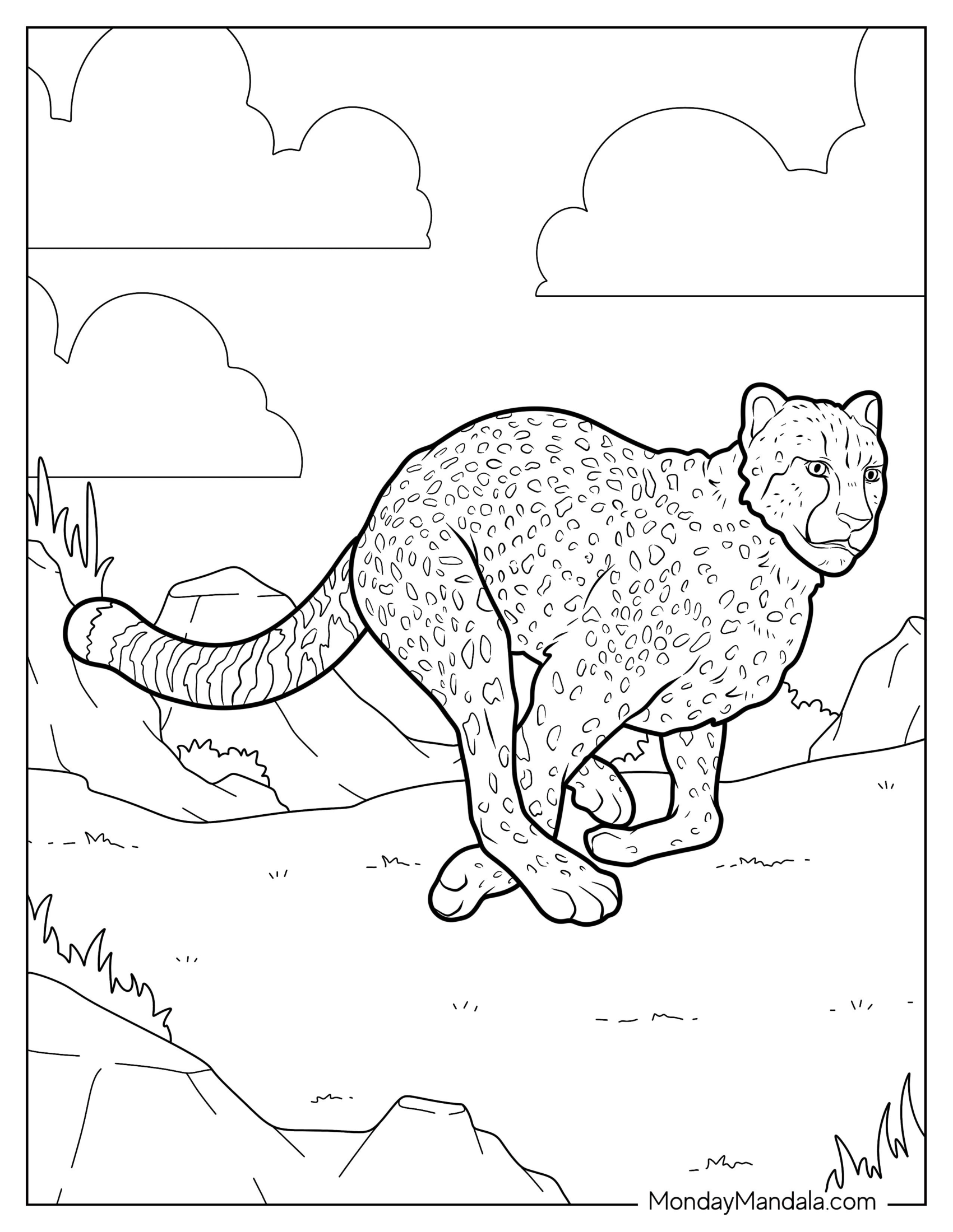 Realistic Cheetah Coloring Page In Mid Run