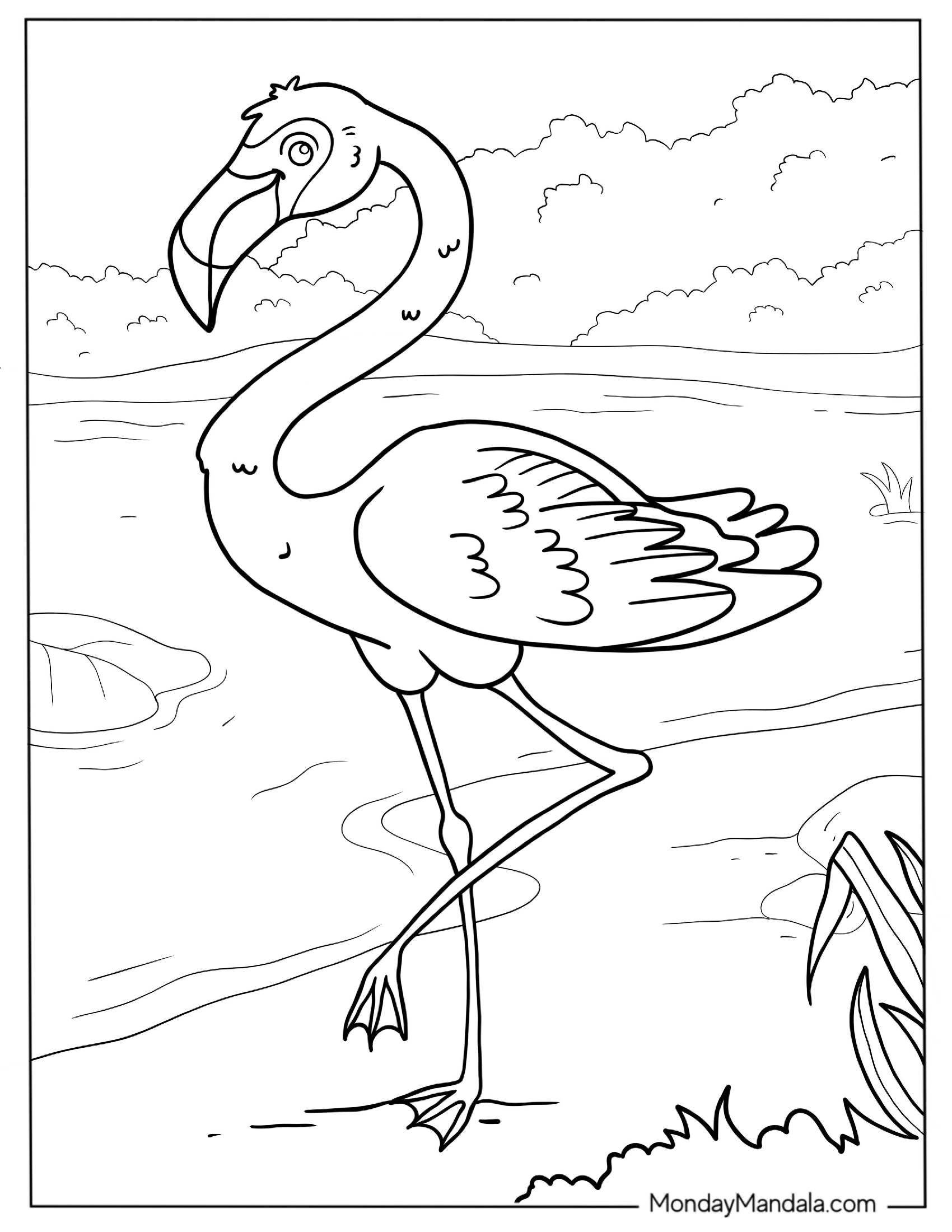 Realistic Flamingo Coloring Page