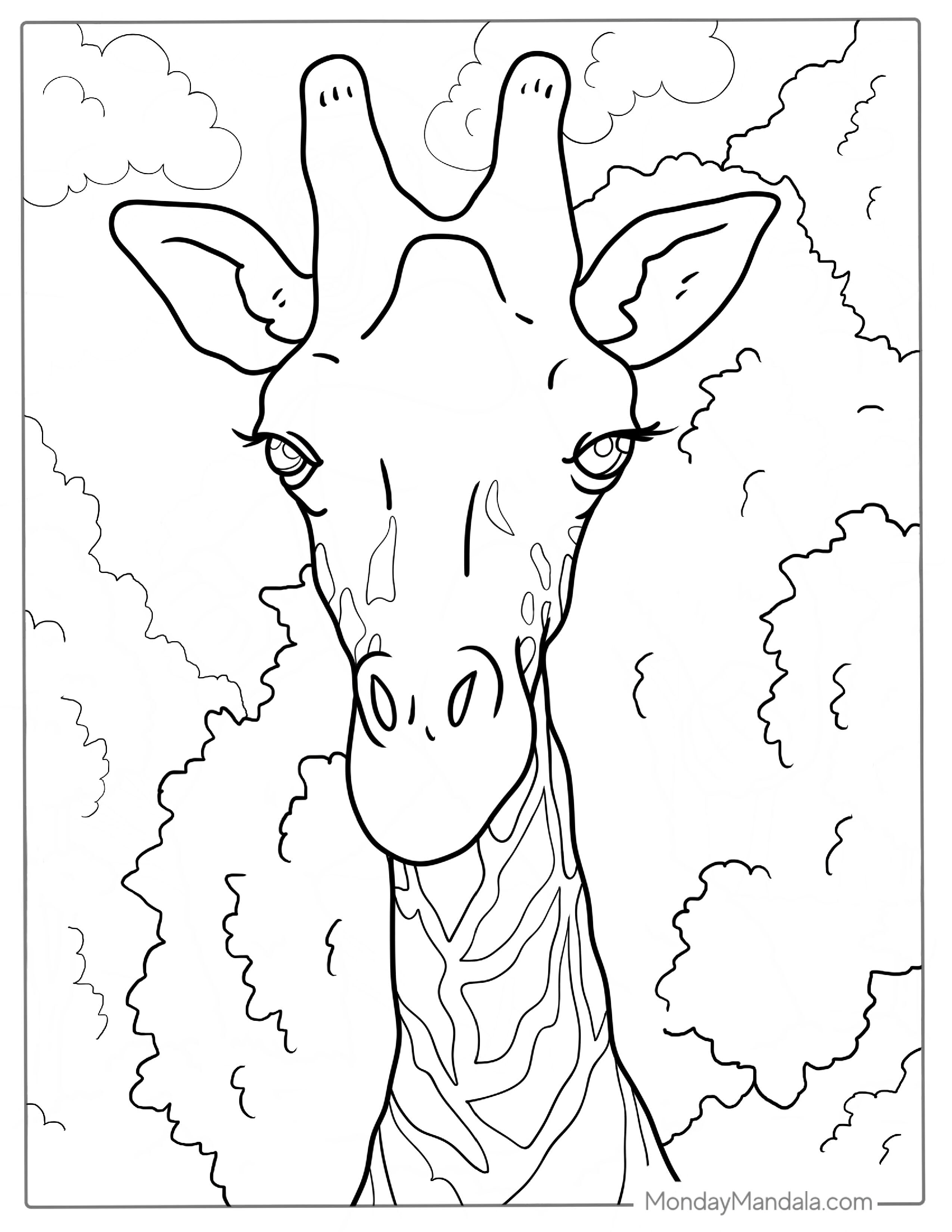 Realistic Giraffe Face Coloring Page