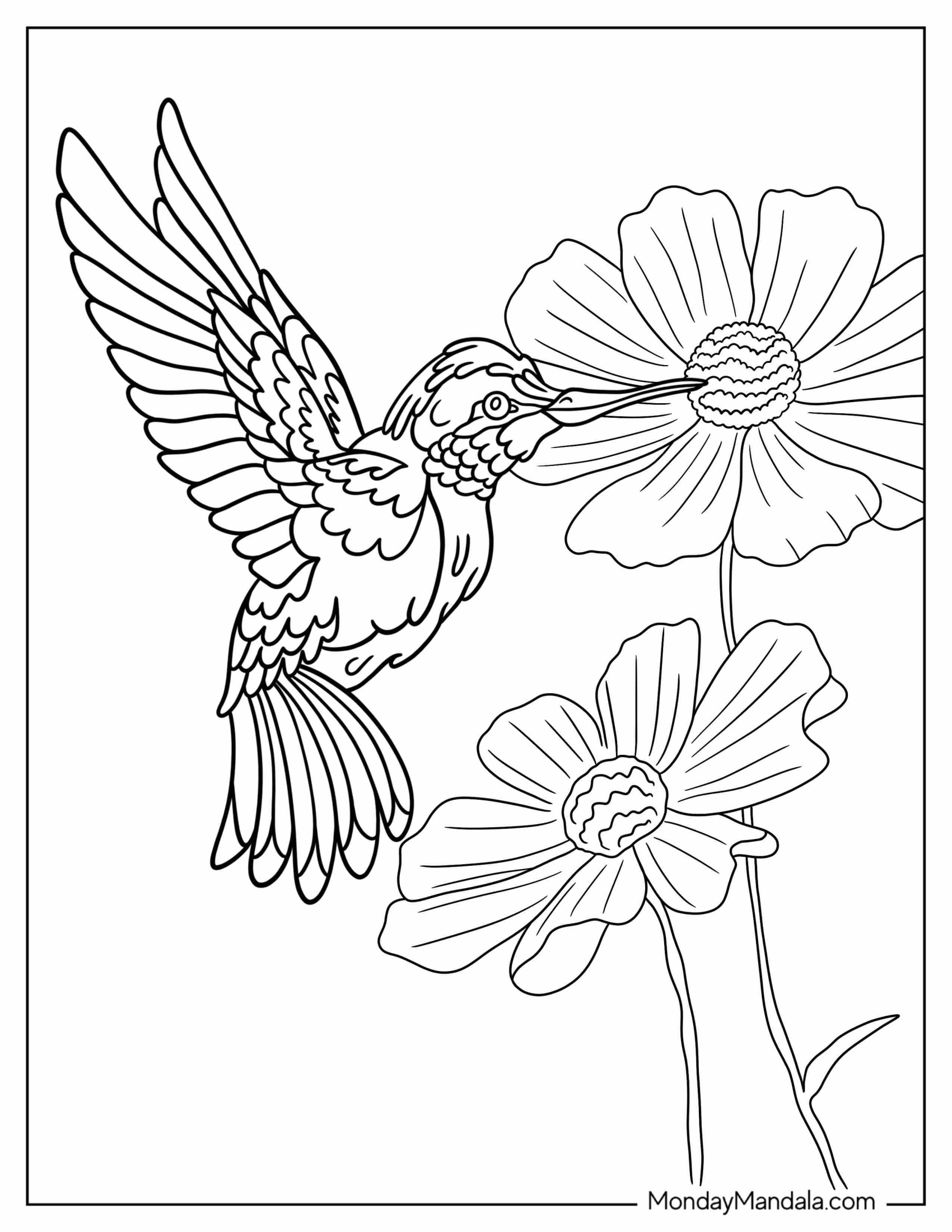 Realistic Hummingbird Drinking Flower Nectar Coloring Page