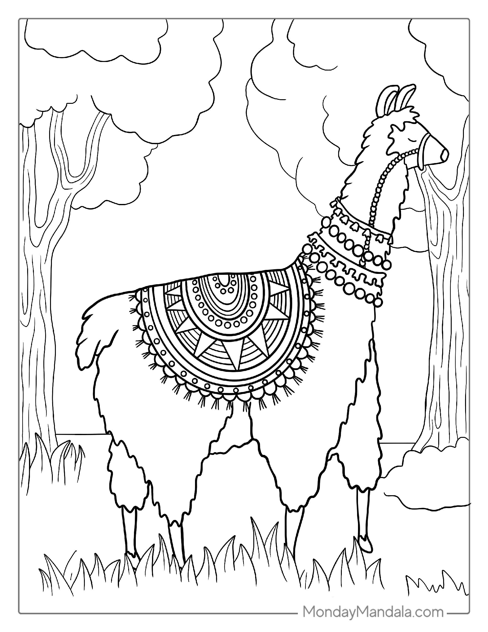 Realistic Llama Wearing Columbian Saddle