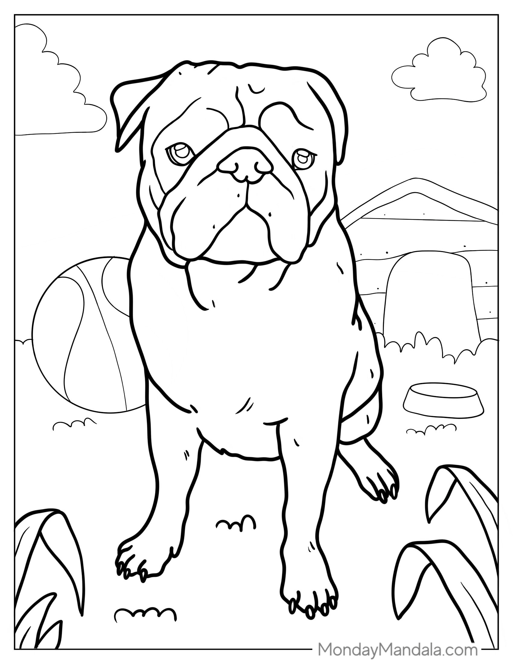 Realistic Looking Pug With Ball To Color