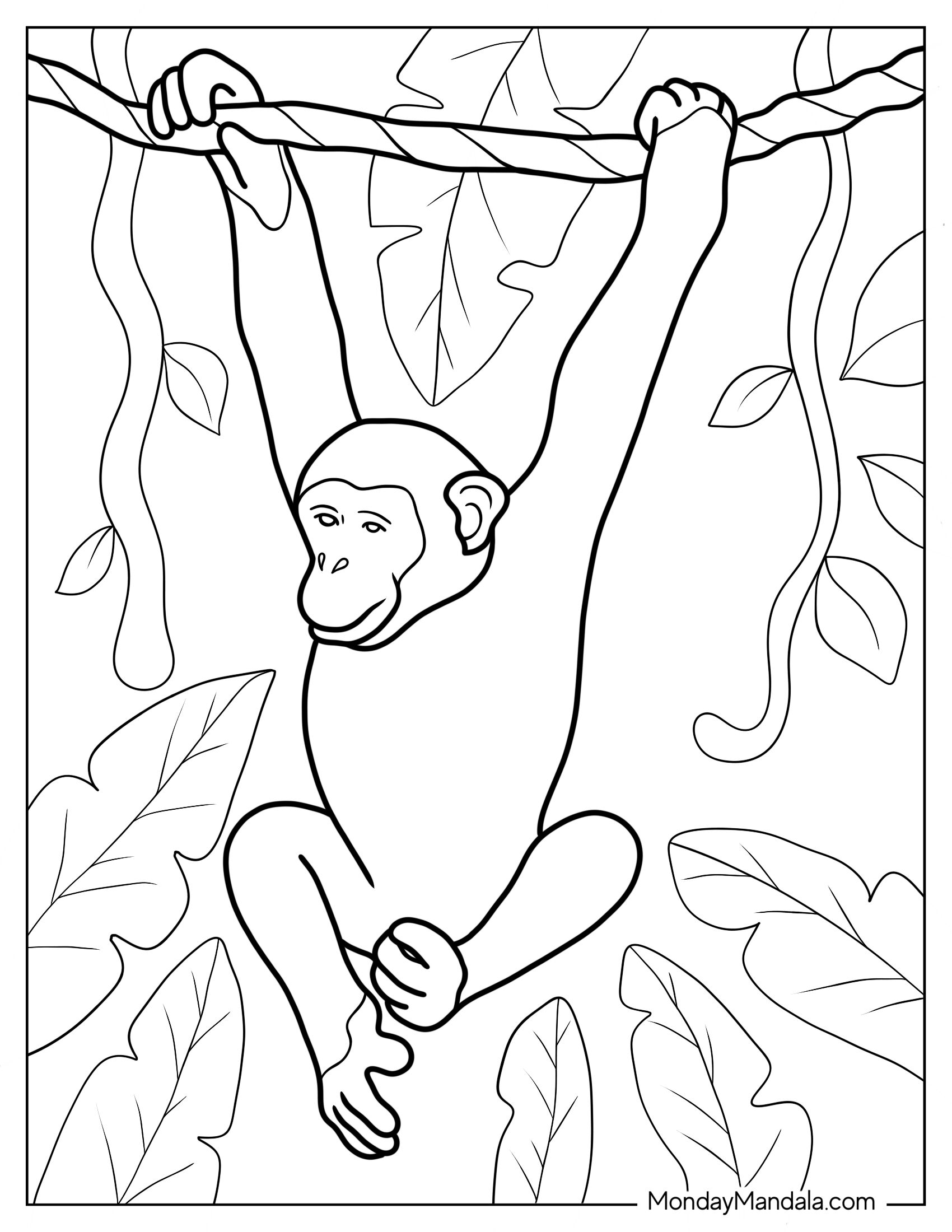 Realistic Monkey Coloring Page Hanging On Tree Branch