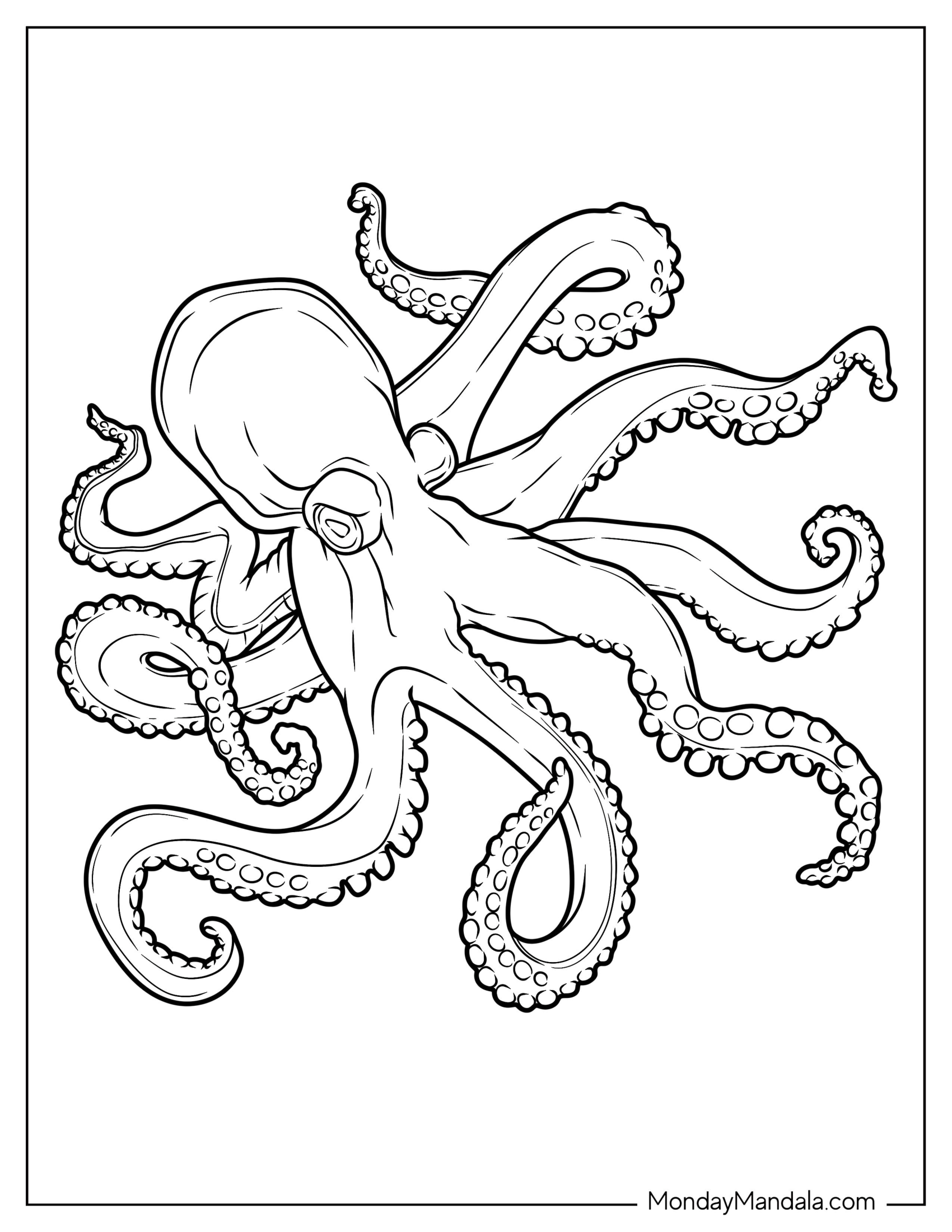 Realistic Octopus Coloring Page