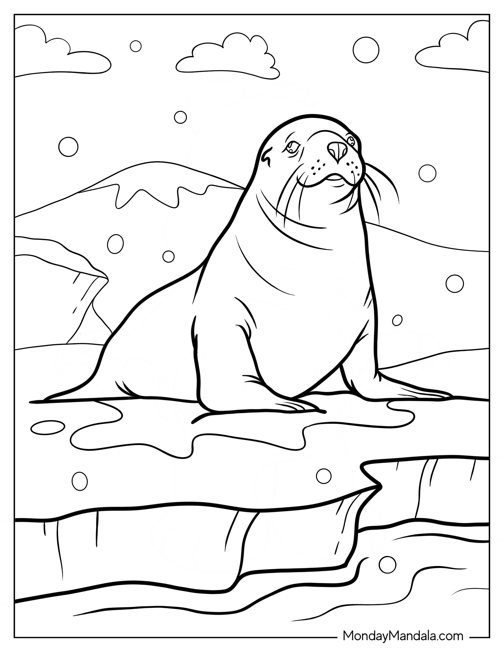 Realistic Seal Coloring Page Looking Up At The Sky