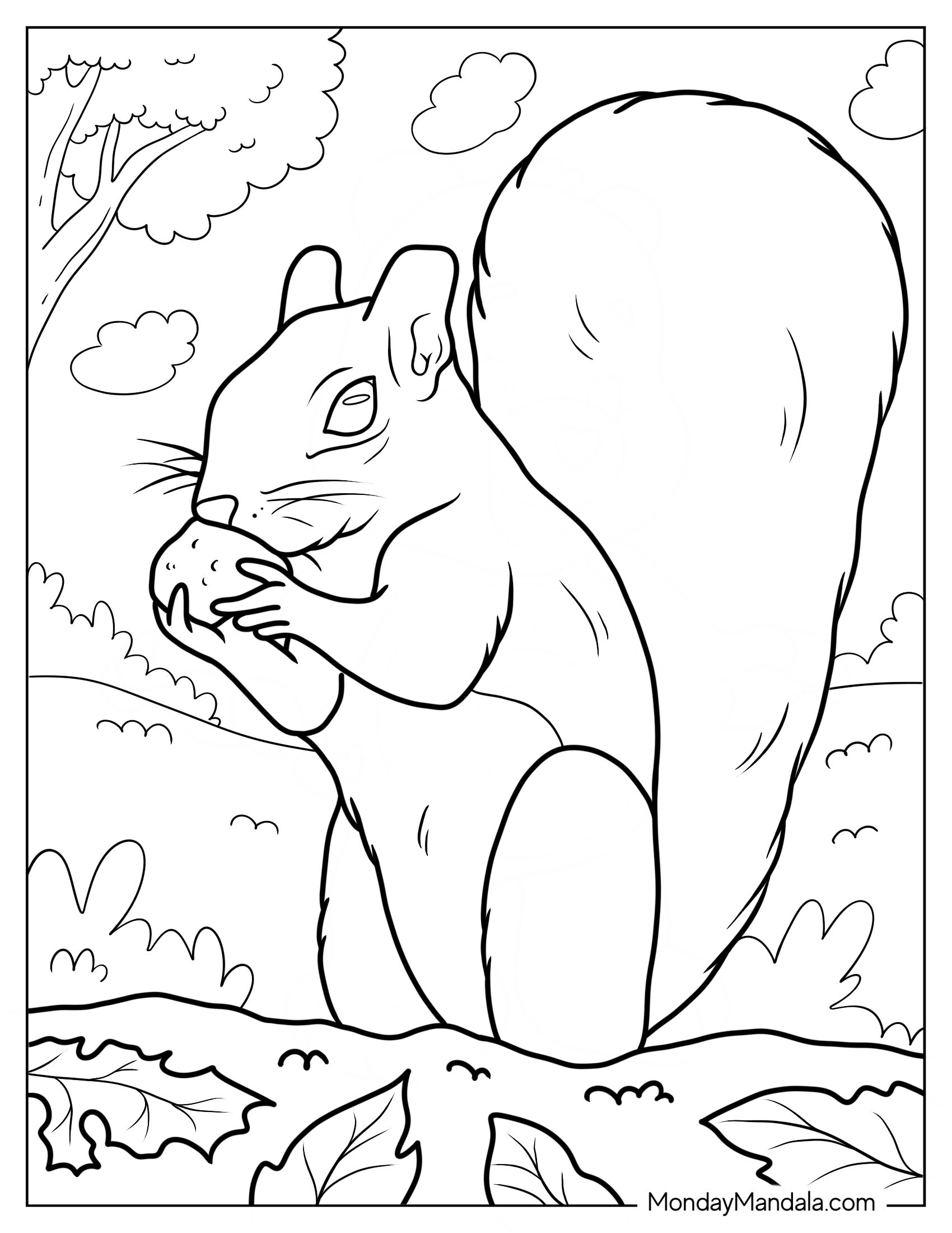 Realistic Squirrel Coloring Page Eating Nut On Field