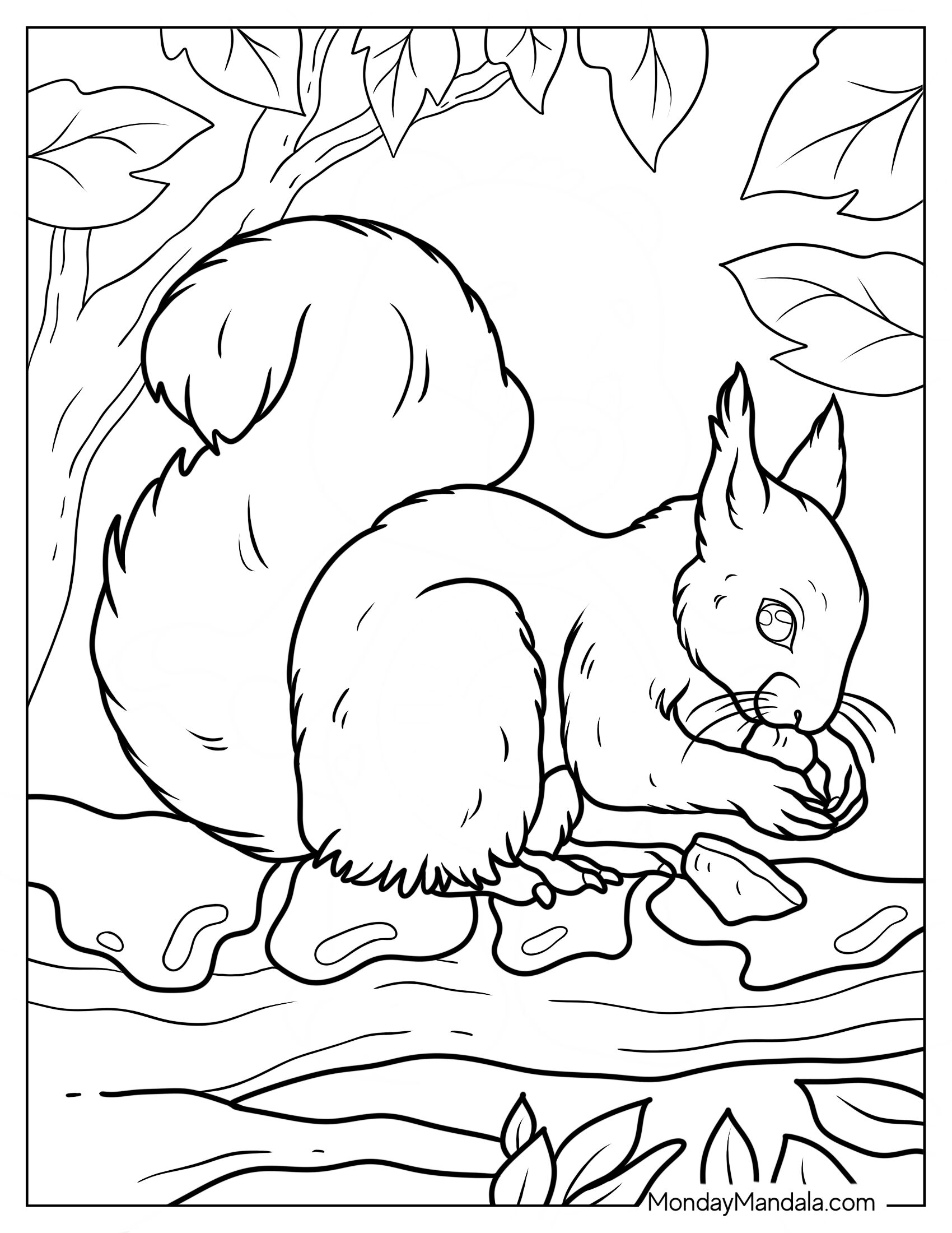 Realistic Squirrel Coloring Page Eating Nut On Snow Covered Branch