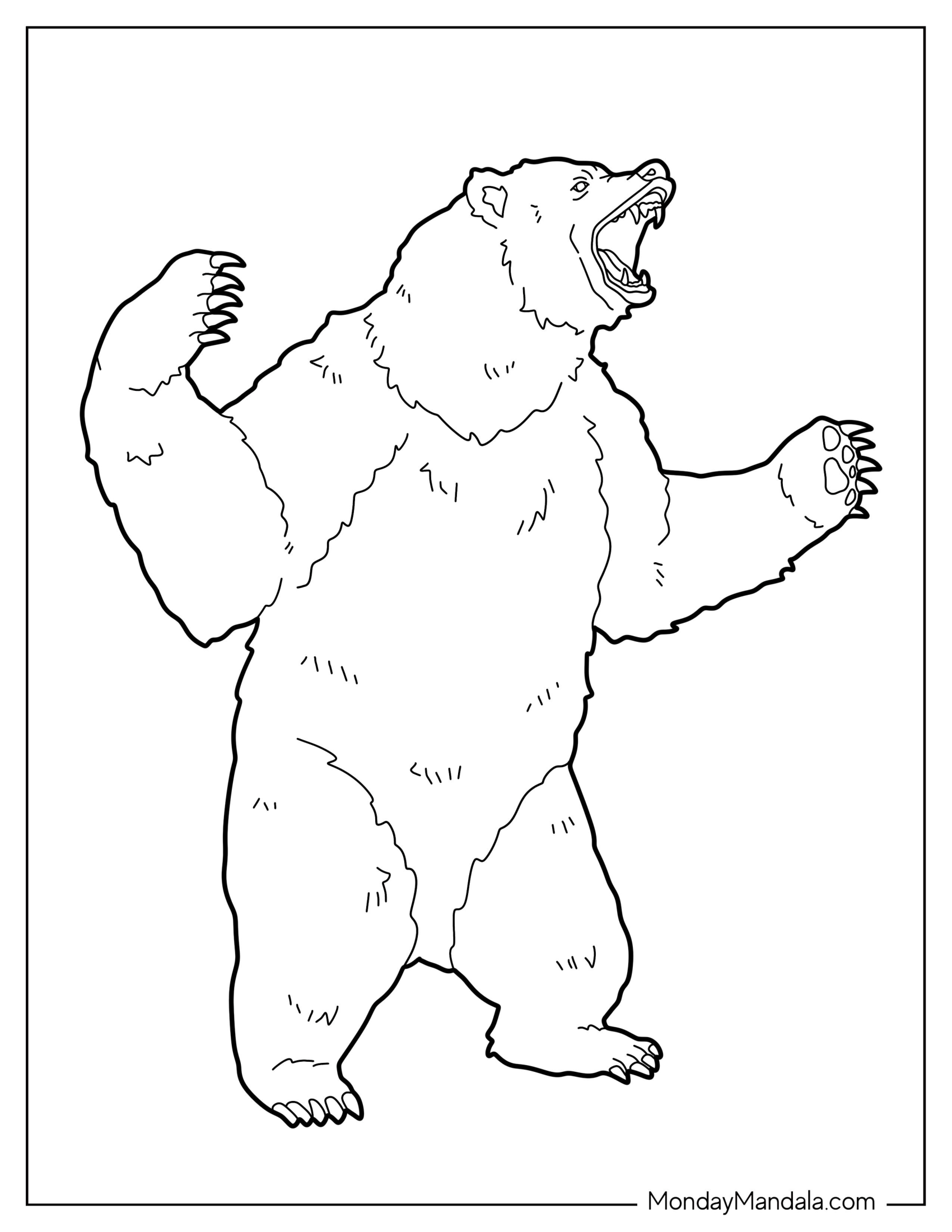 Scary Bear Coloring Page Roaring While Standing