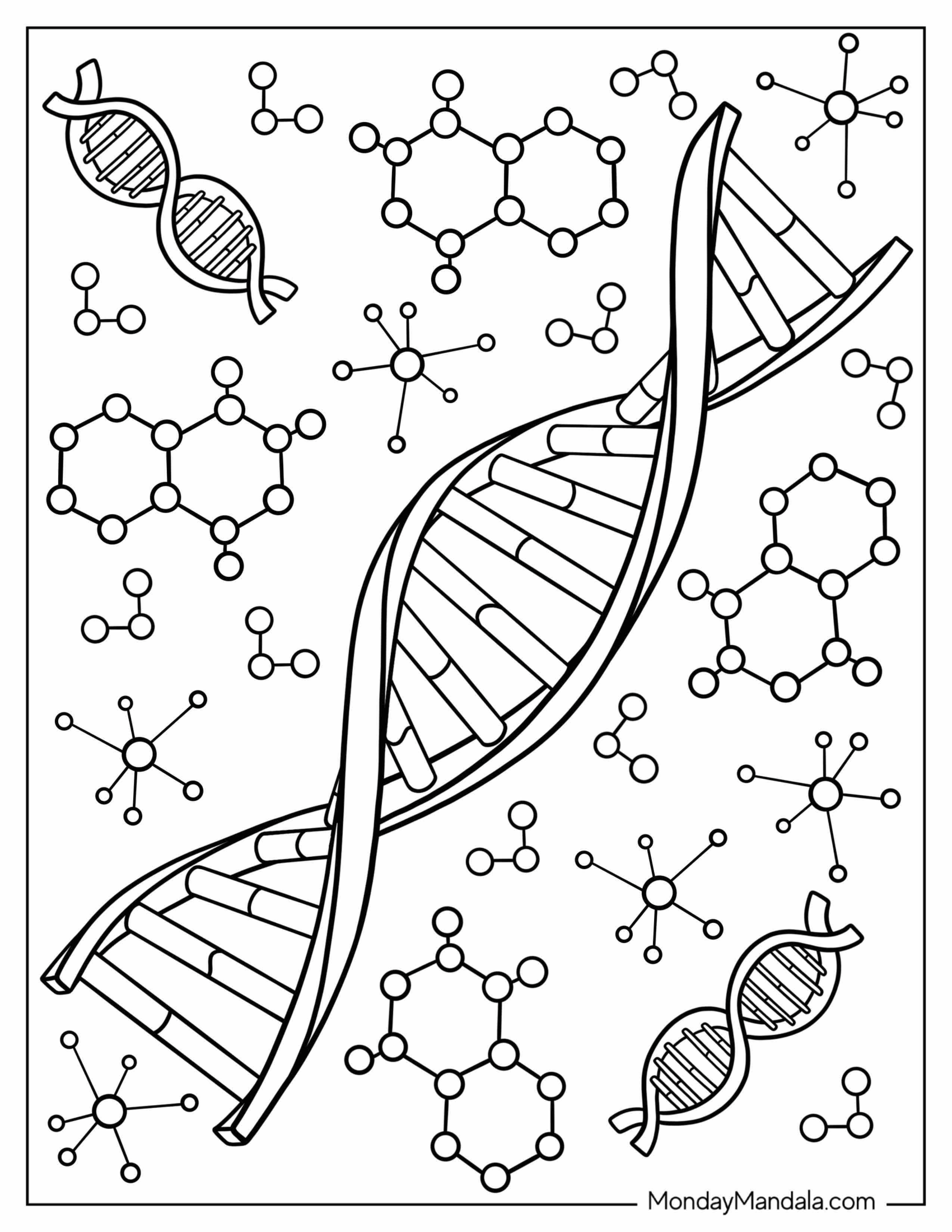 Science Coloring Page Of DNA Strands