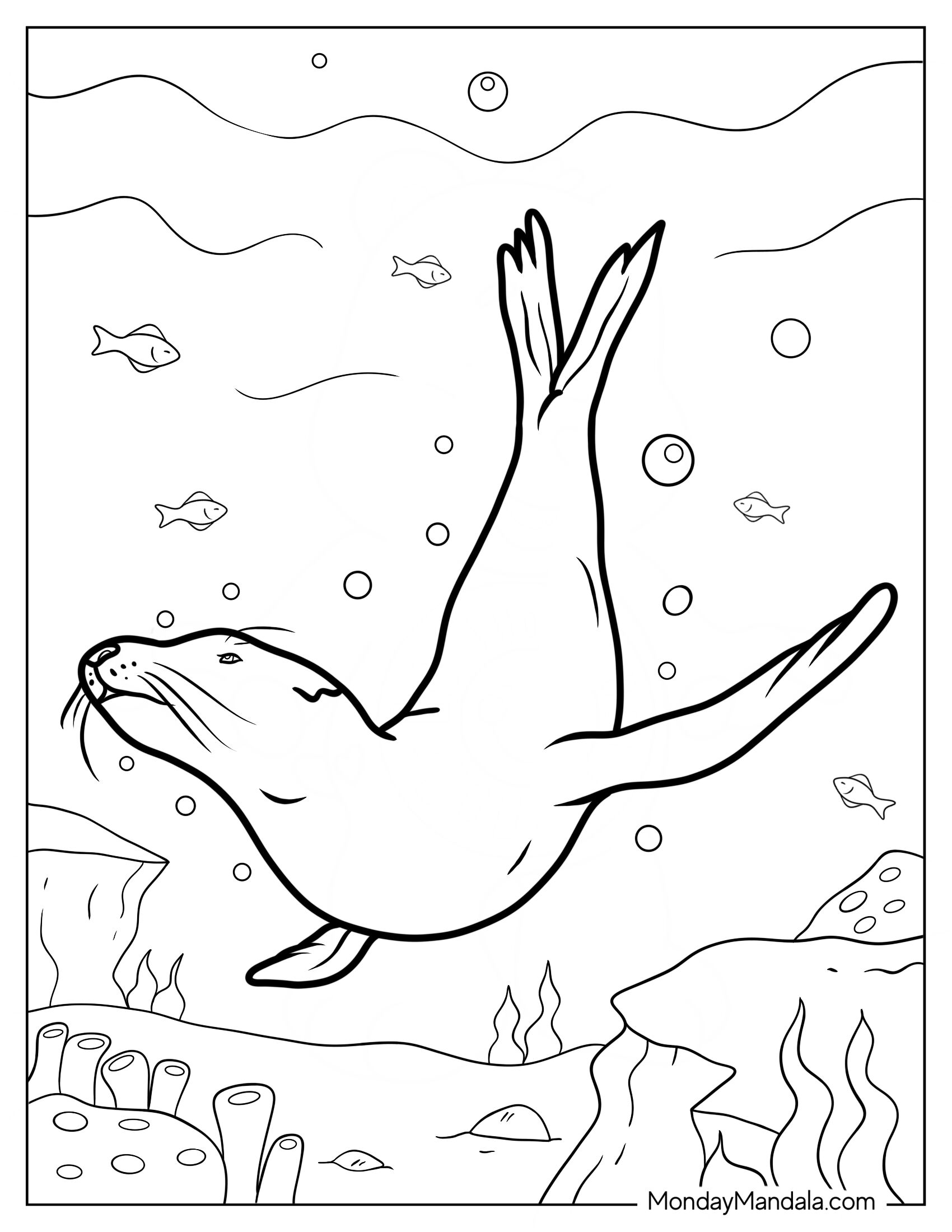 Seal Coloring Page Diving In The Water