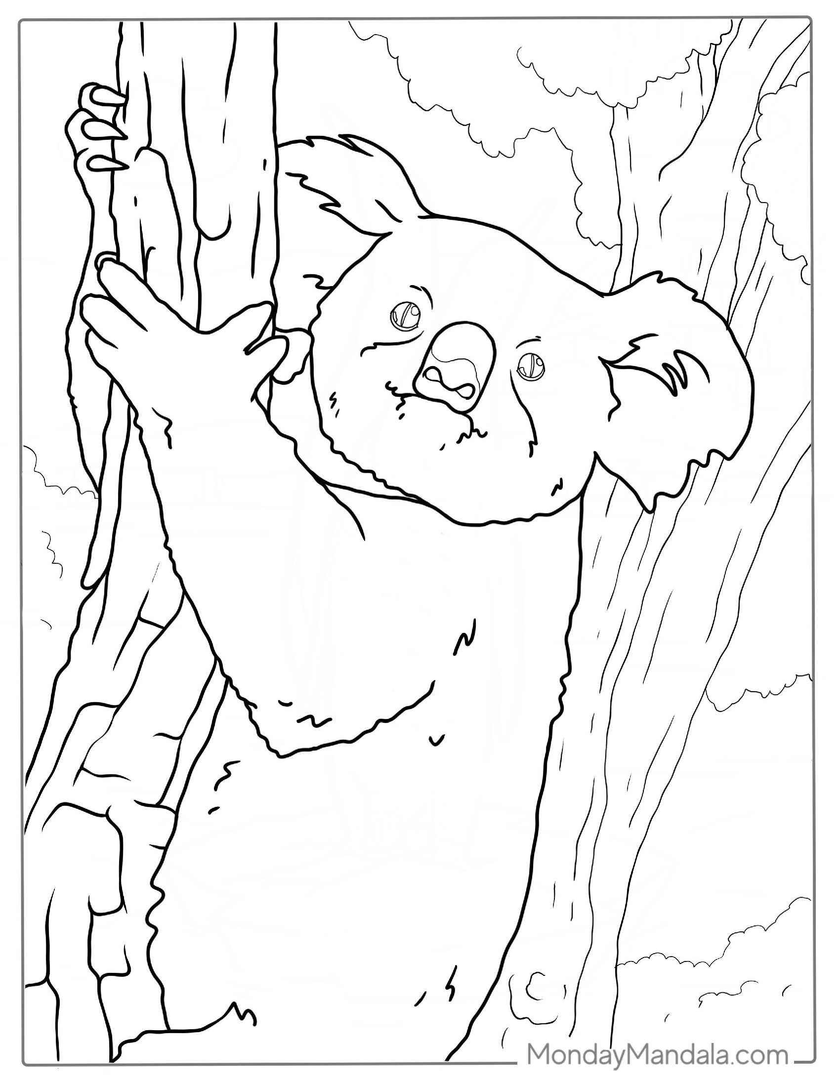 Shaggy Koala Climbing Tree Coloring Page